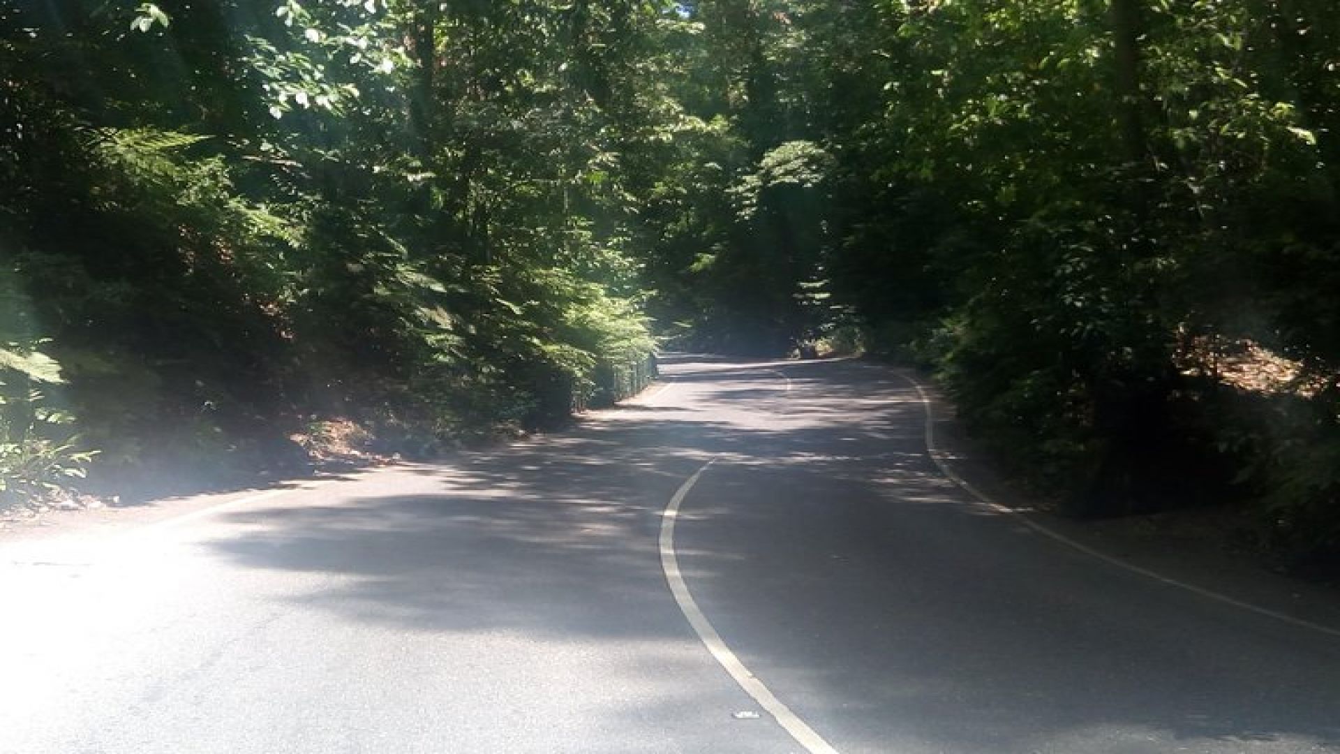 Dunn\'s River Falls and Fern Gully Highlight Adventure Tour from Kingston