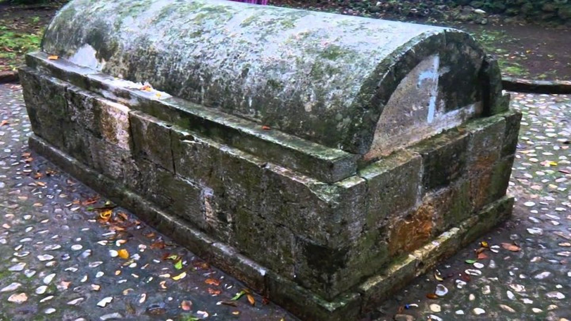 Luminous Lagoon & Rose Hall Haunted Night Tour from Montego Bay