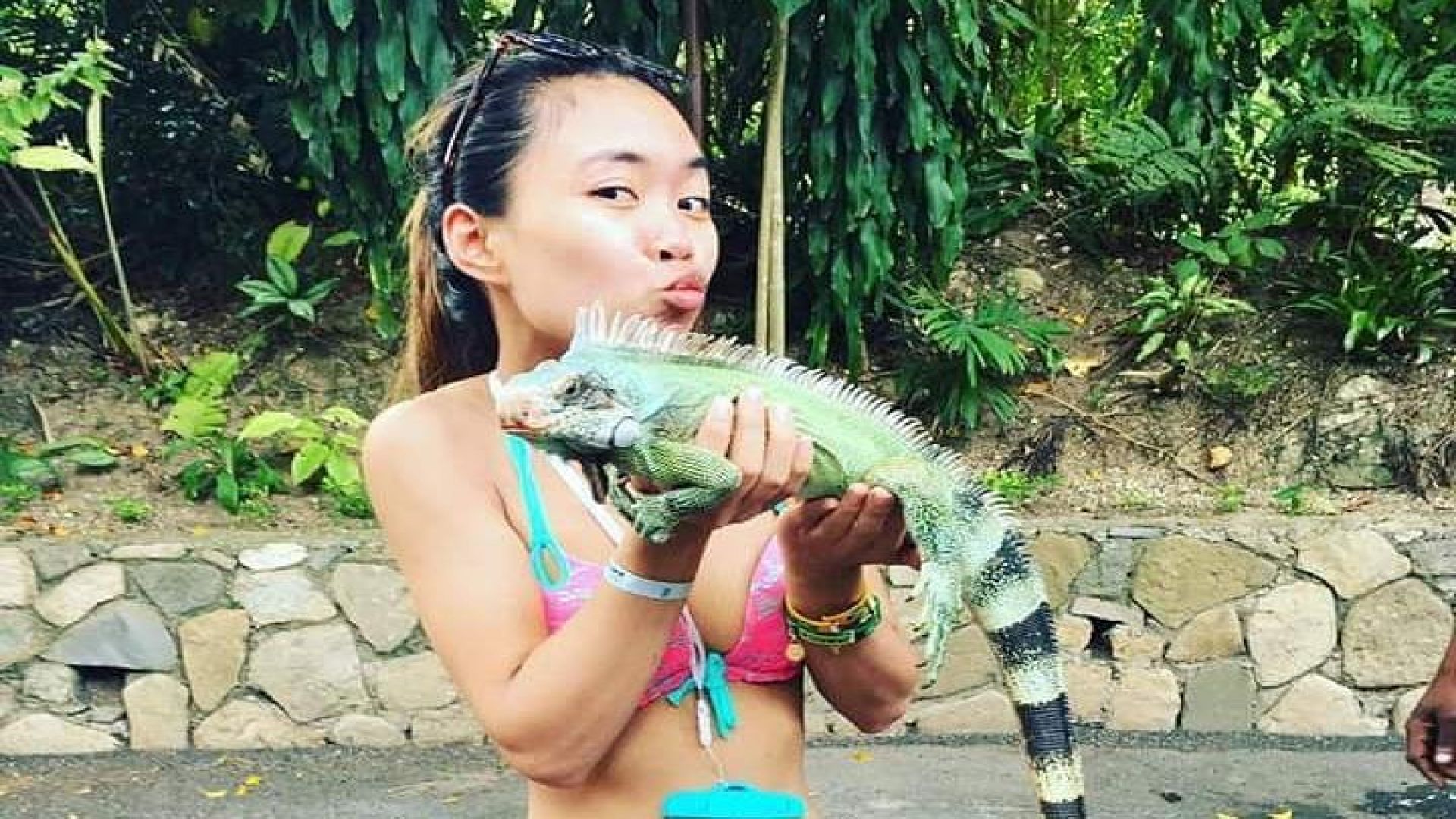 Shared Konoko Falls and Tropical Garden Tour from Ocho Rios