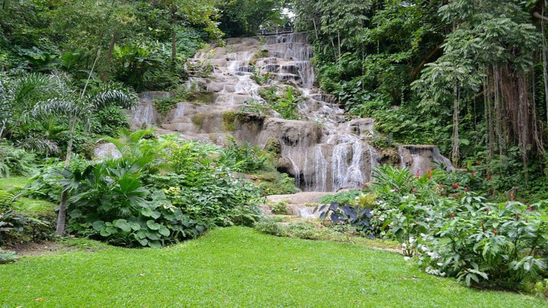 Konoko Falls and Tropical Garden Tour from Runaway Bay