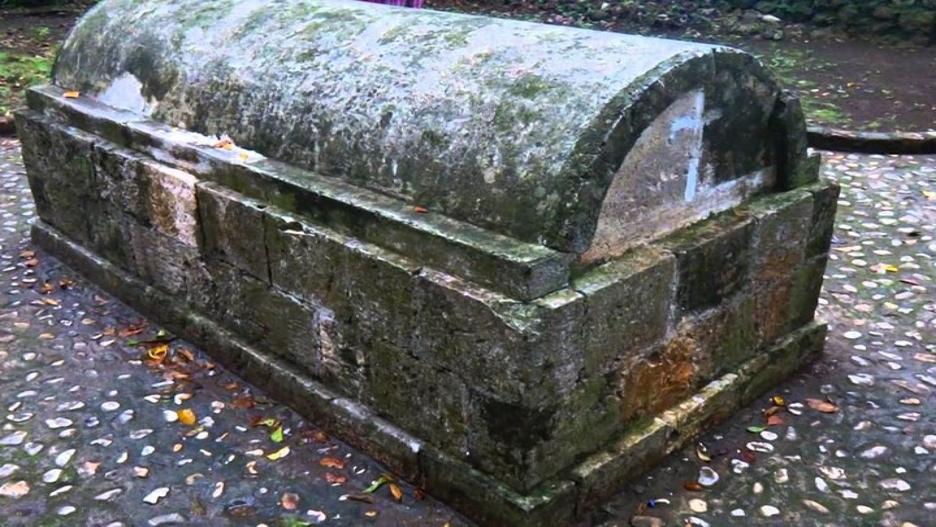 Luminous Lagoon and Rose Hall Haunted Night Tour from Runaway Bay