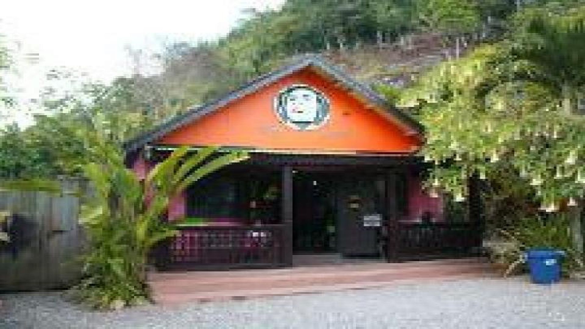 Zion Bus Line- Bob Marley Cultural Experience from Ocho Rios