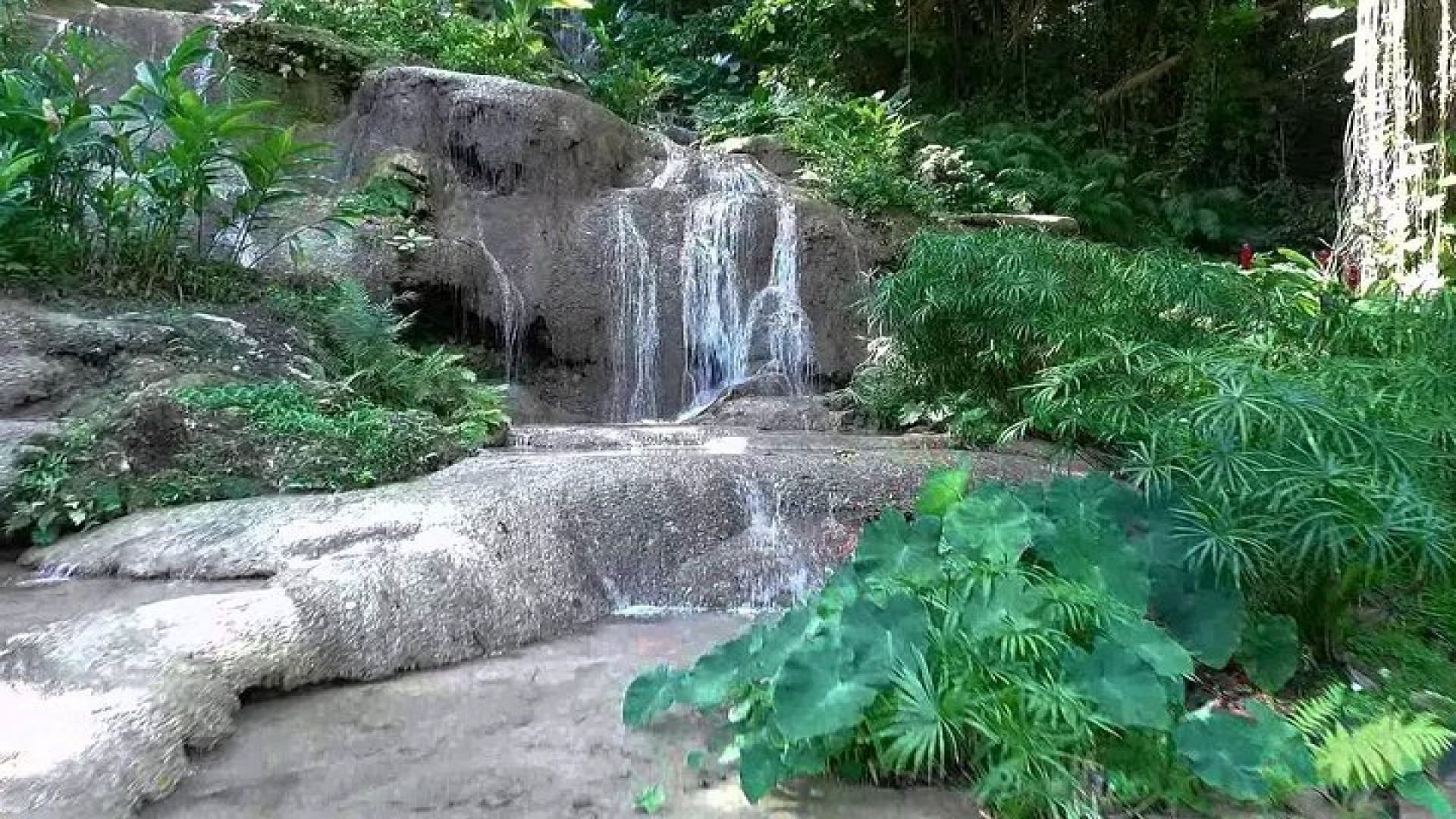 Konoko Falls and Tropical Garden Tour from Ocho Rios