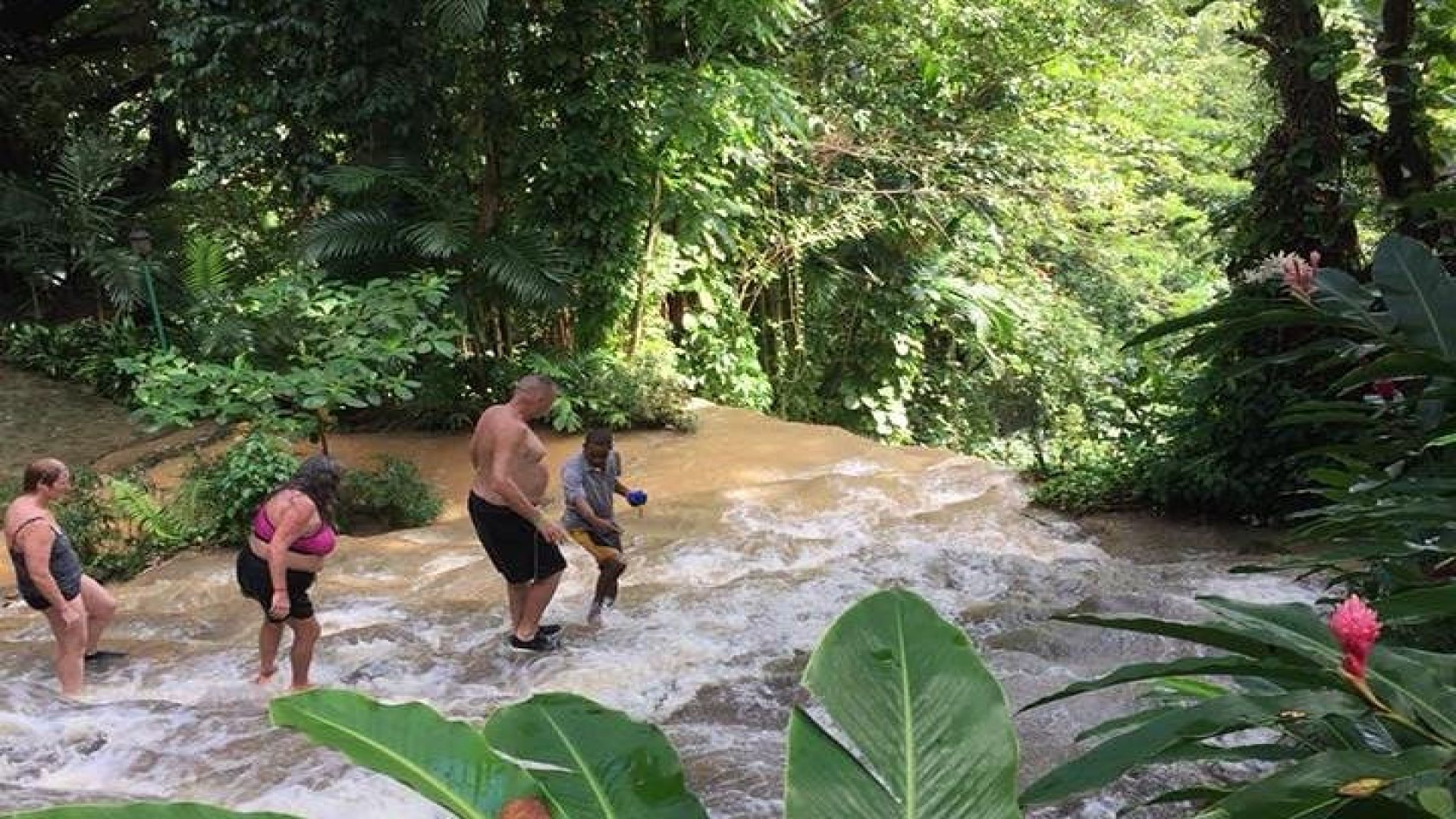 Shared Konoko Falls and Tropical Garden Tour from Runaway Bay