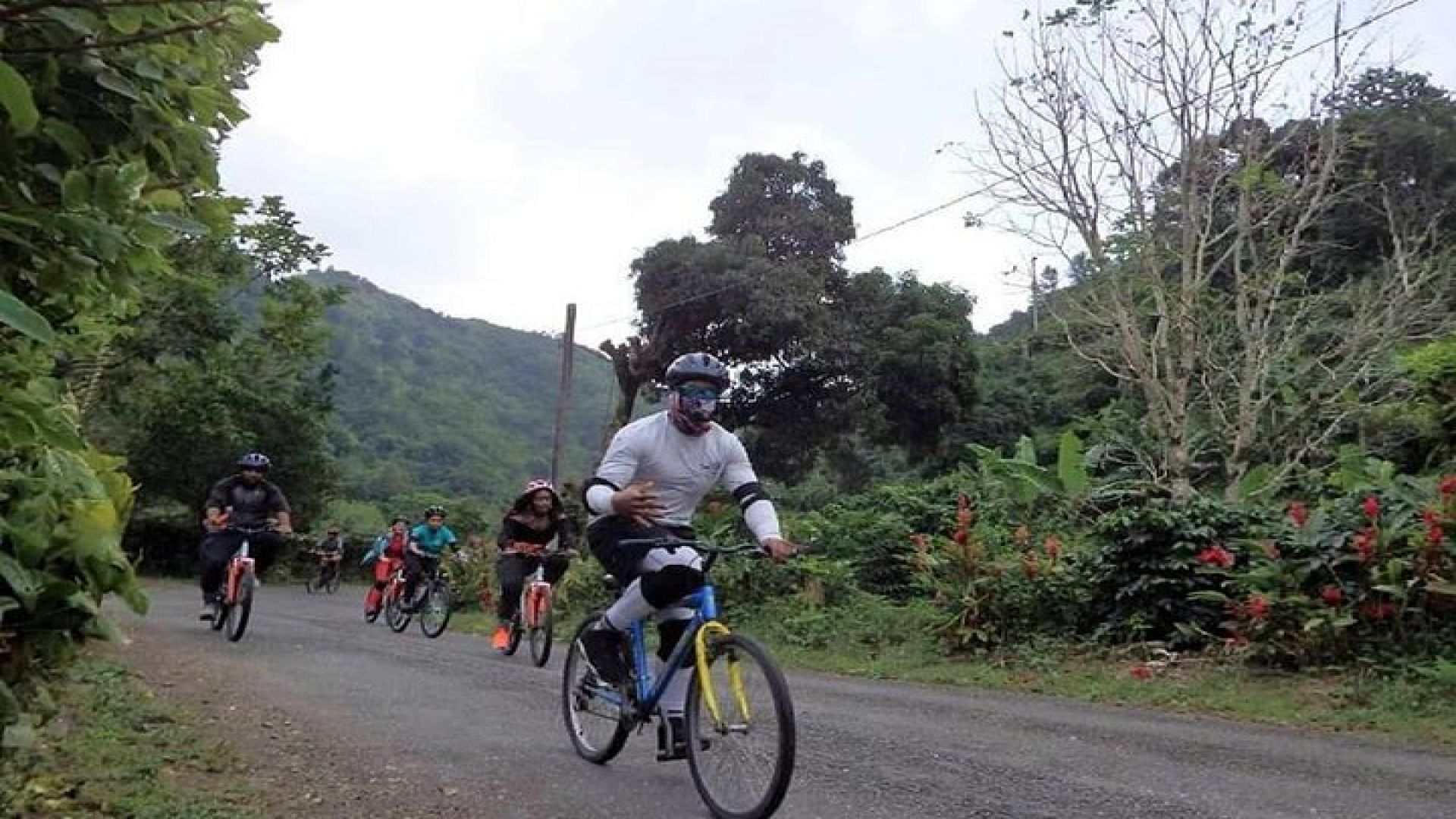 Blue Mountain Bicycle Tour from Port Antonio