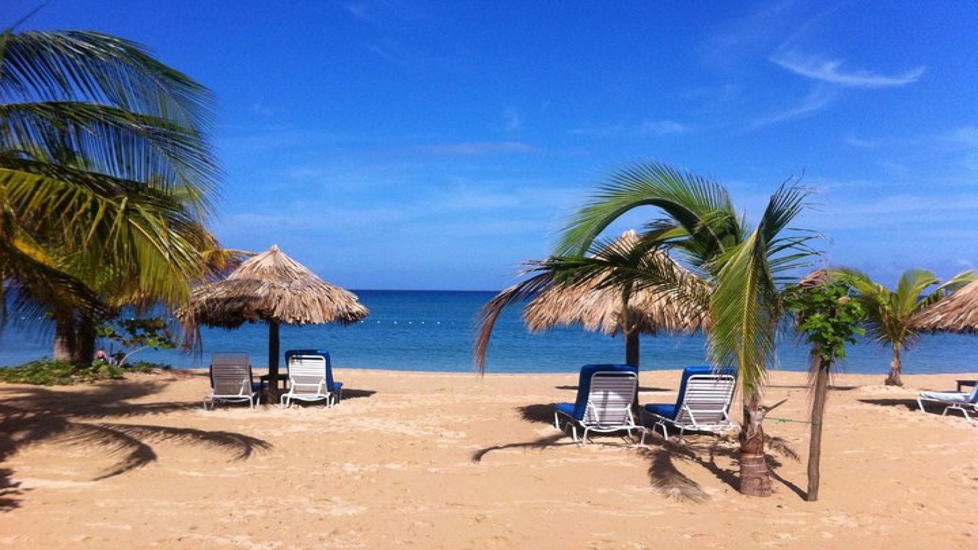 Private Fern Gully, Blue Hole and Bamboo Blu Beach Experience from Ocho Rios