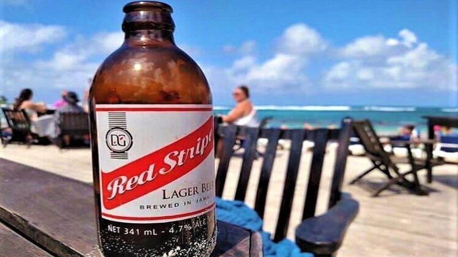 Private Fern Gully, Blue Hole and Bamboo Blu Beach Experience from Ocho Rios