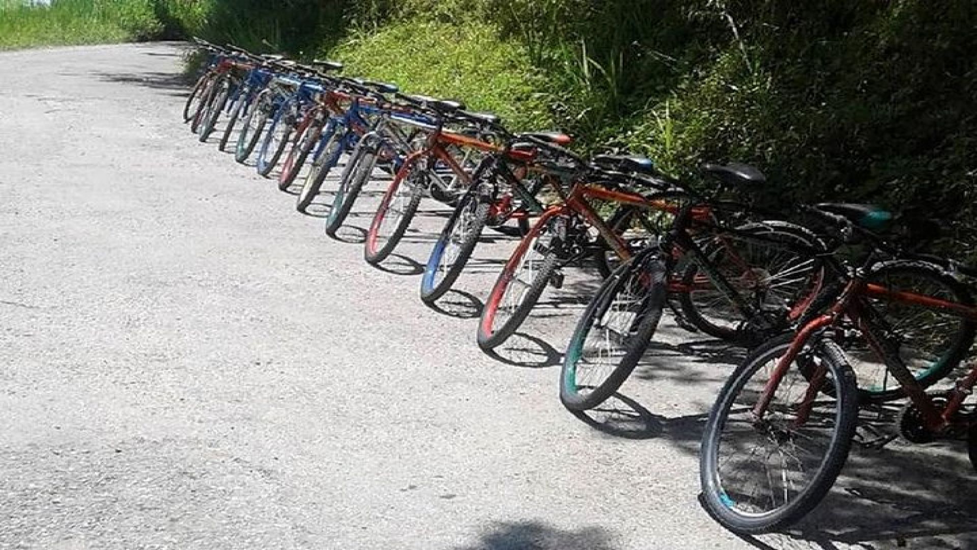 Blue Mountain Bicycle Tour from Ocho Rios
