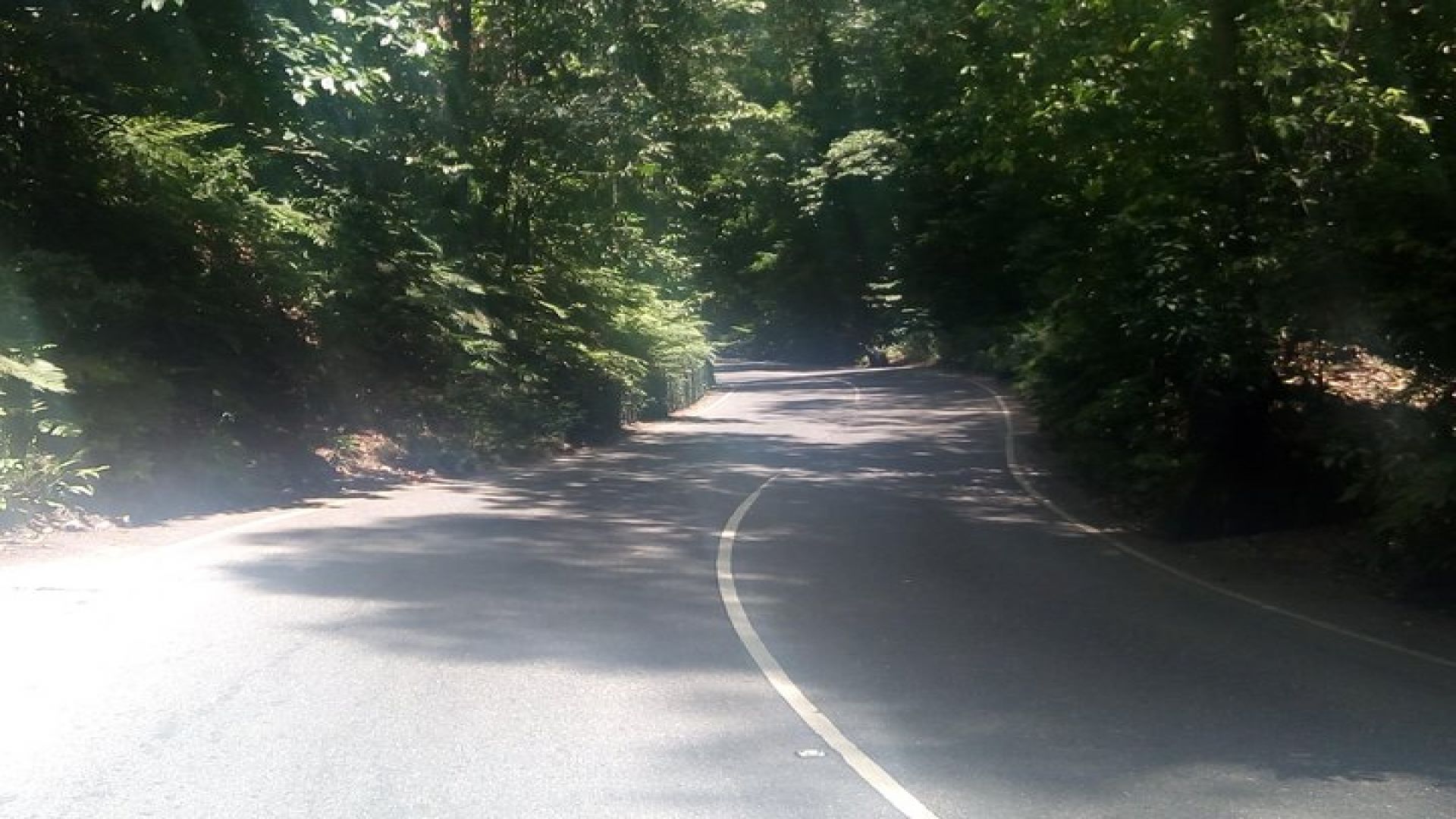 Dunn\'s River Falls and Fern Gully Highlight Adventure Tour from Runaway Bay