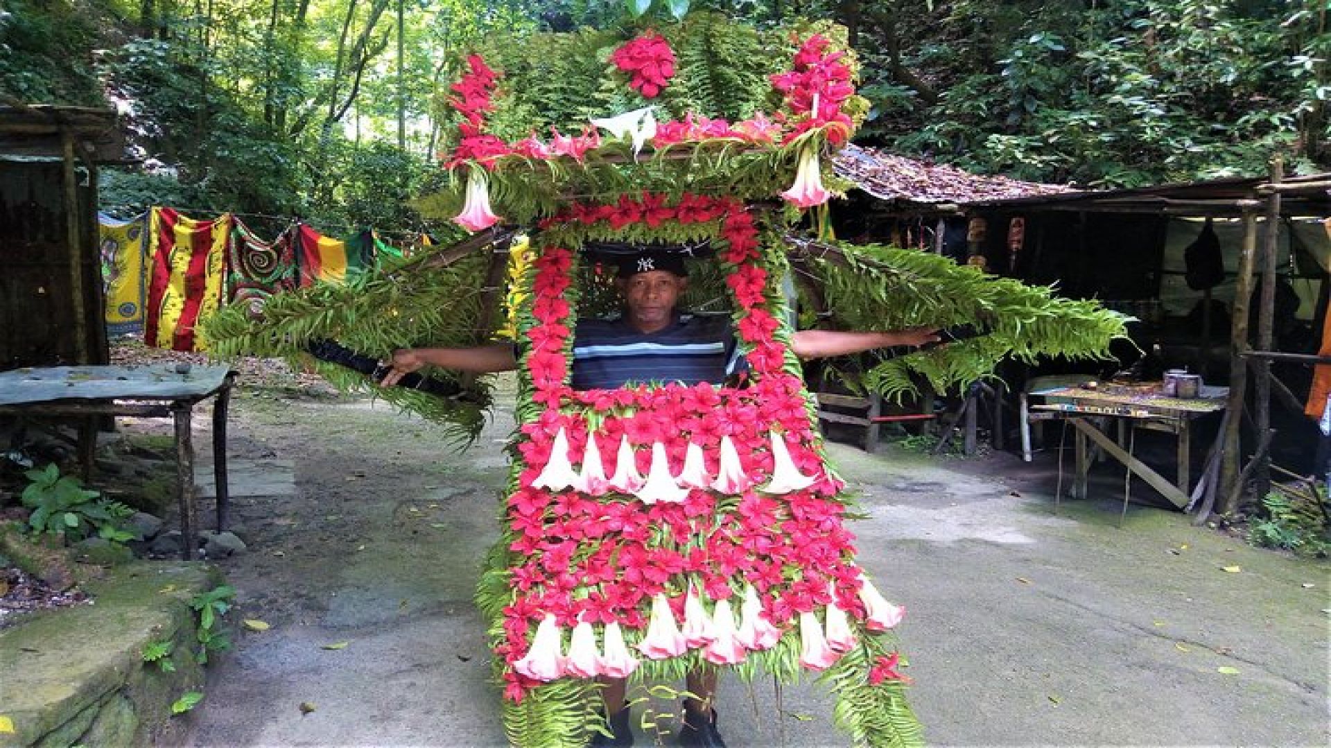 Irie Blue Hole,Fern Gully & Bob Marley Nine Mile Mausoleum Tour from Kingston