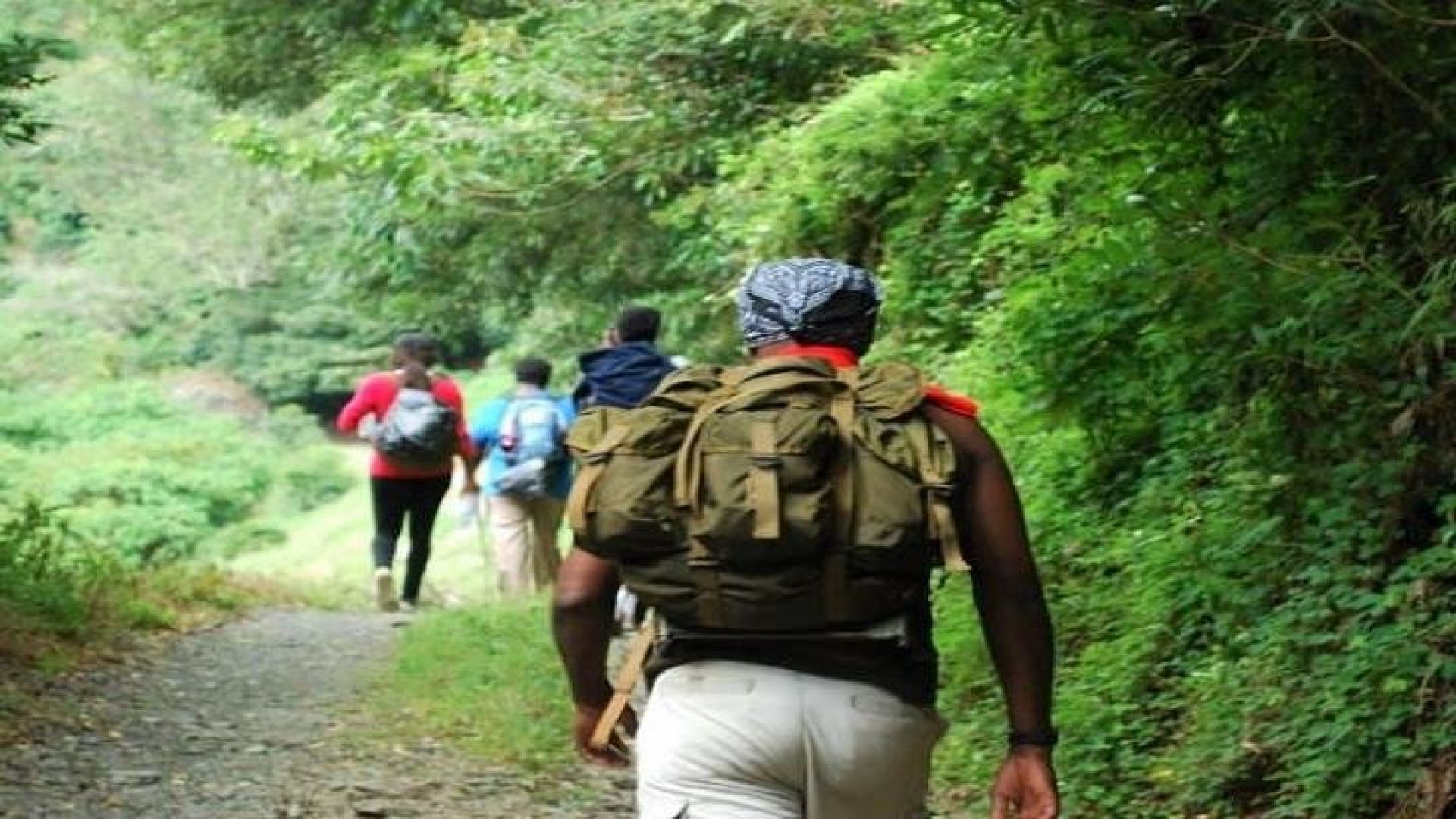 Blue Mountain Peak Hiking Tour from Kingston