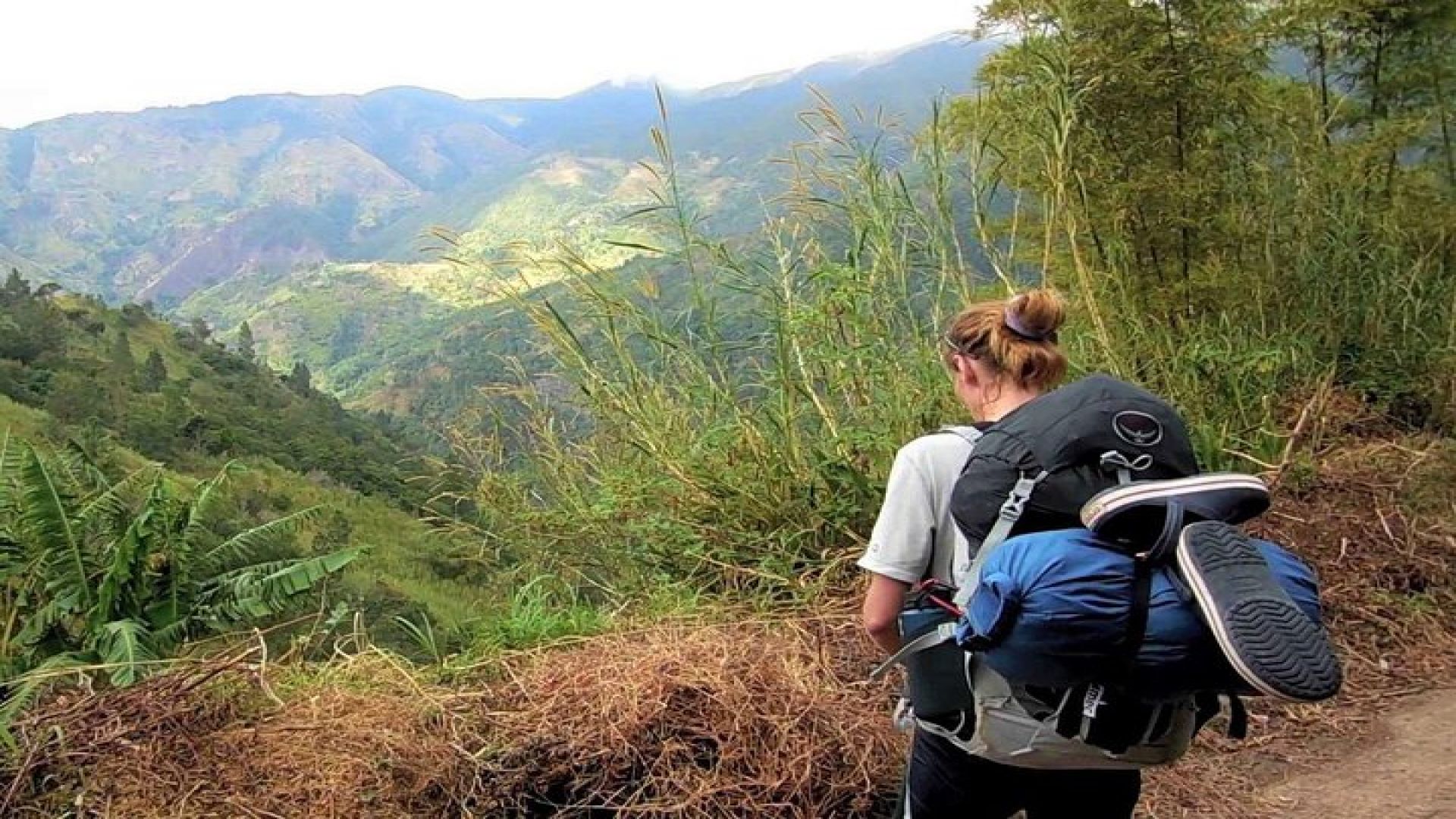 Blue Mountain Peak Hiking Tour from Kingston