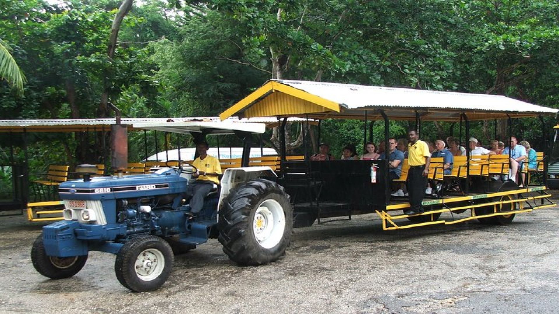 Flavors of Jamaica Food Tour from Falmouth