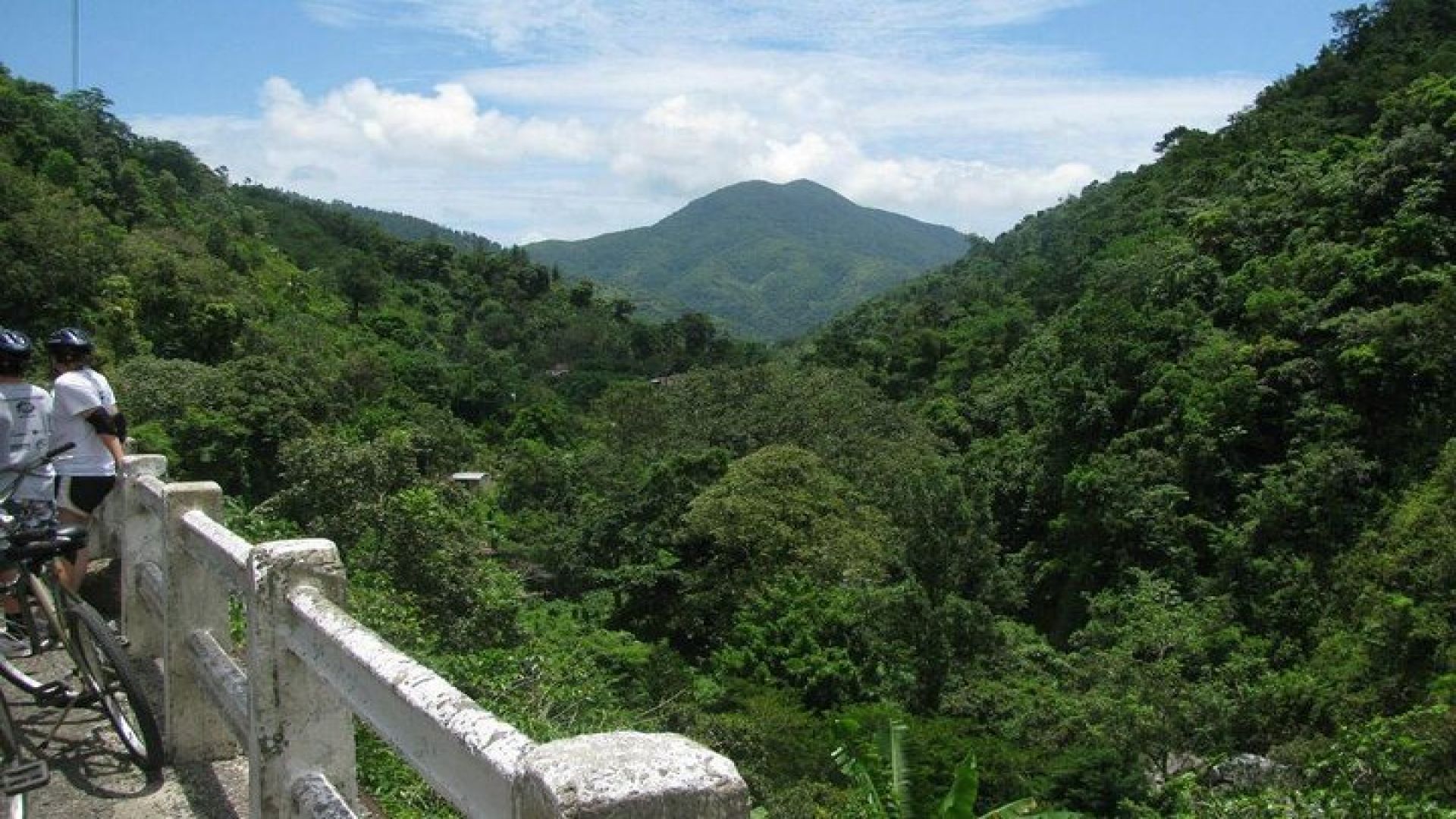 Blue Mountain Bicycle Tour from Kingston