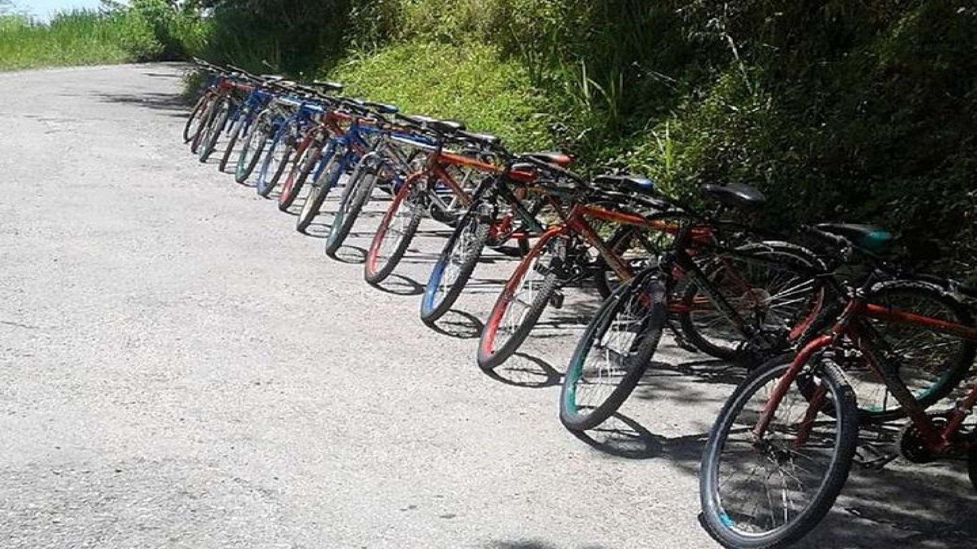 Blue Mountain Bicycle Tour from Kingston