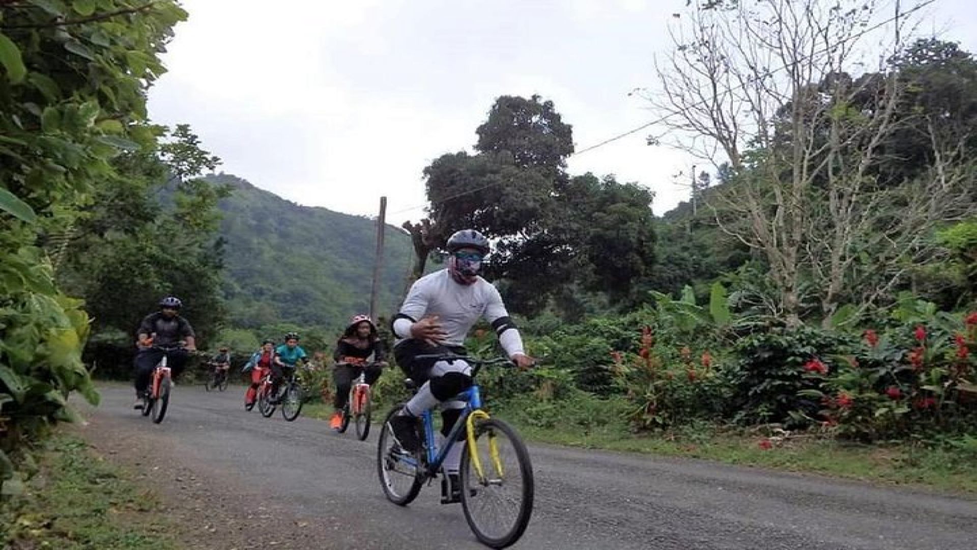 Blue Mountain Bicycle Tour from Kingston