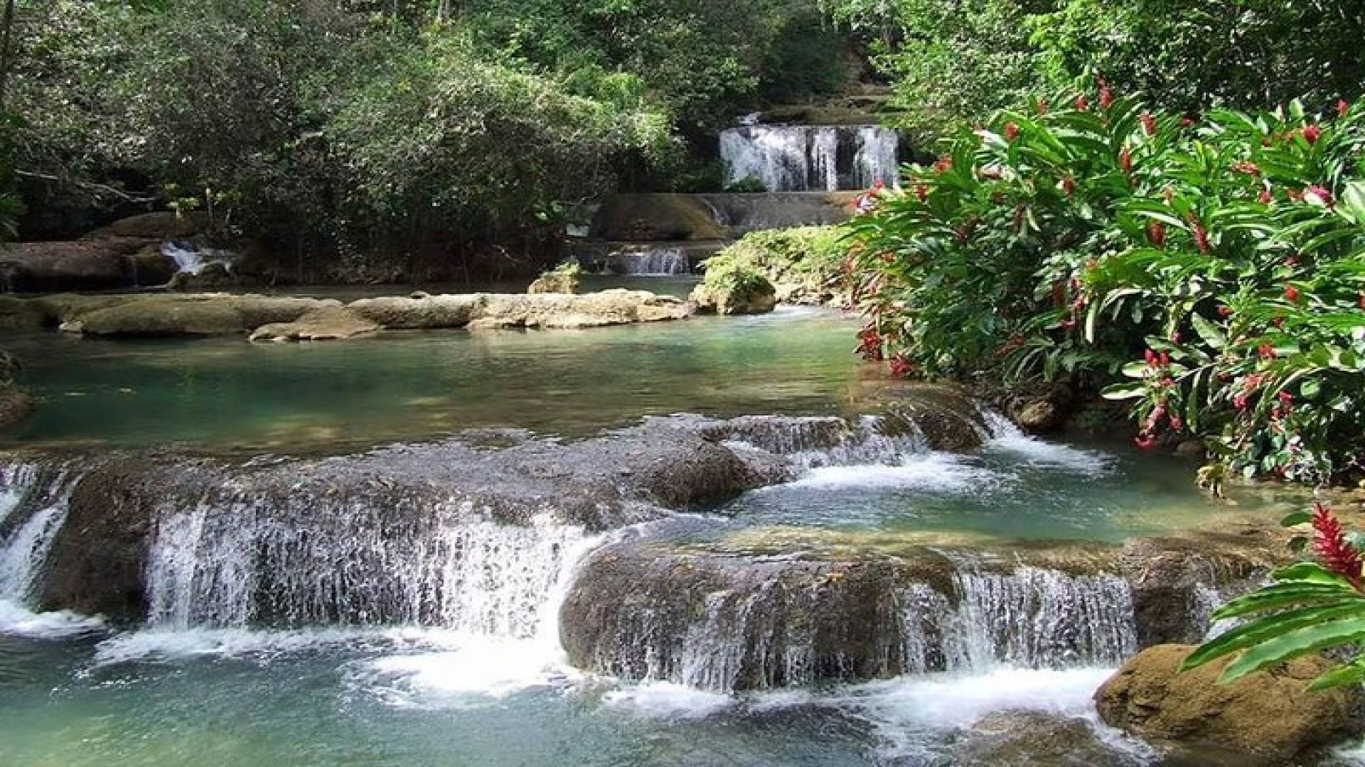 YS Falls and The Pelican Bar Adventure Tour from Montego Bay