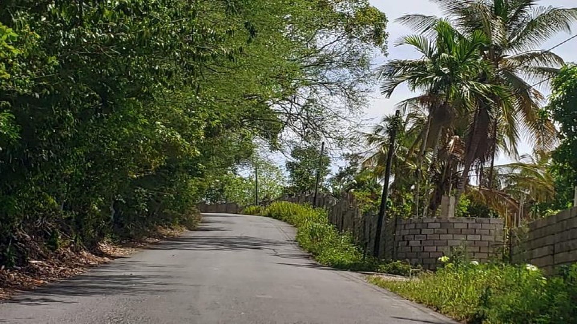 Mile End Walking Tour from Ocho Rios