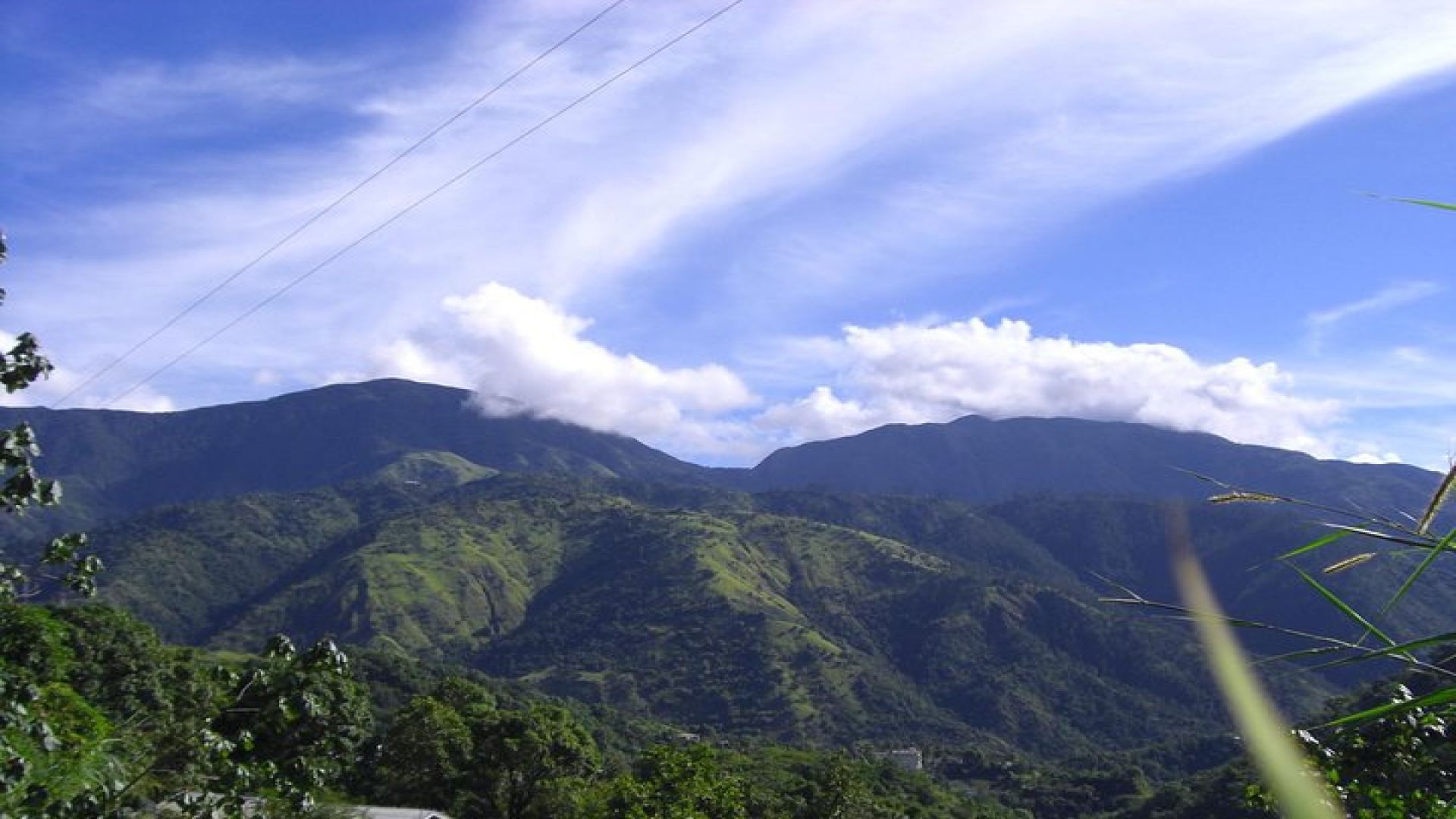 Jamaica\'s Blue Mountain Hike & Coffee Tour from Runaway Bay