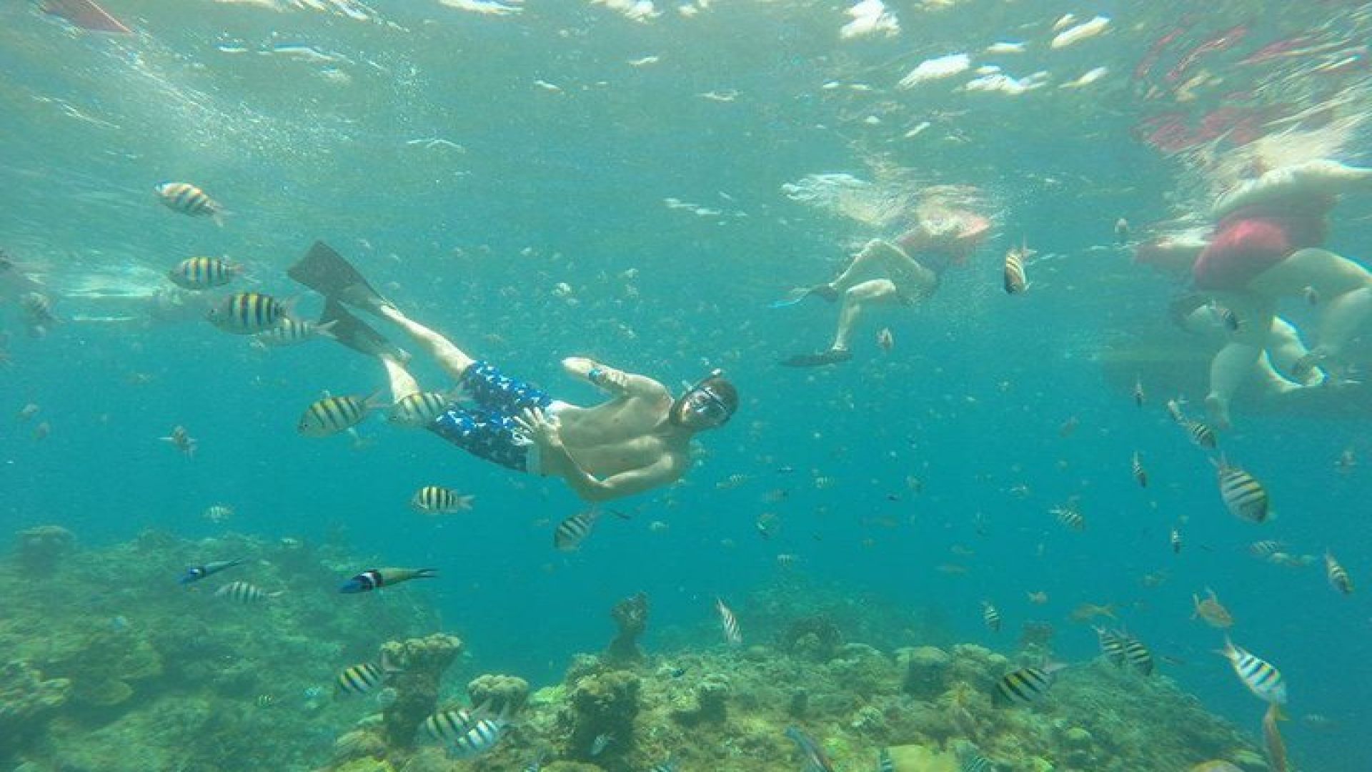 Dreamer Catamaran Cruise to Negril from Montego Bay