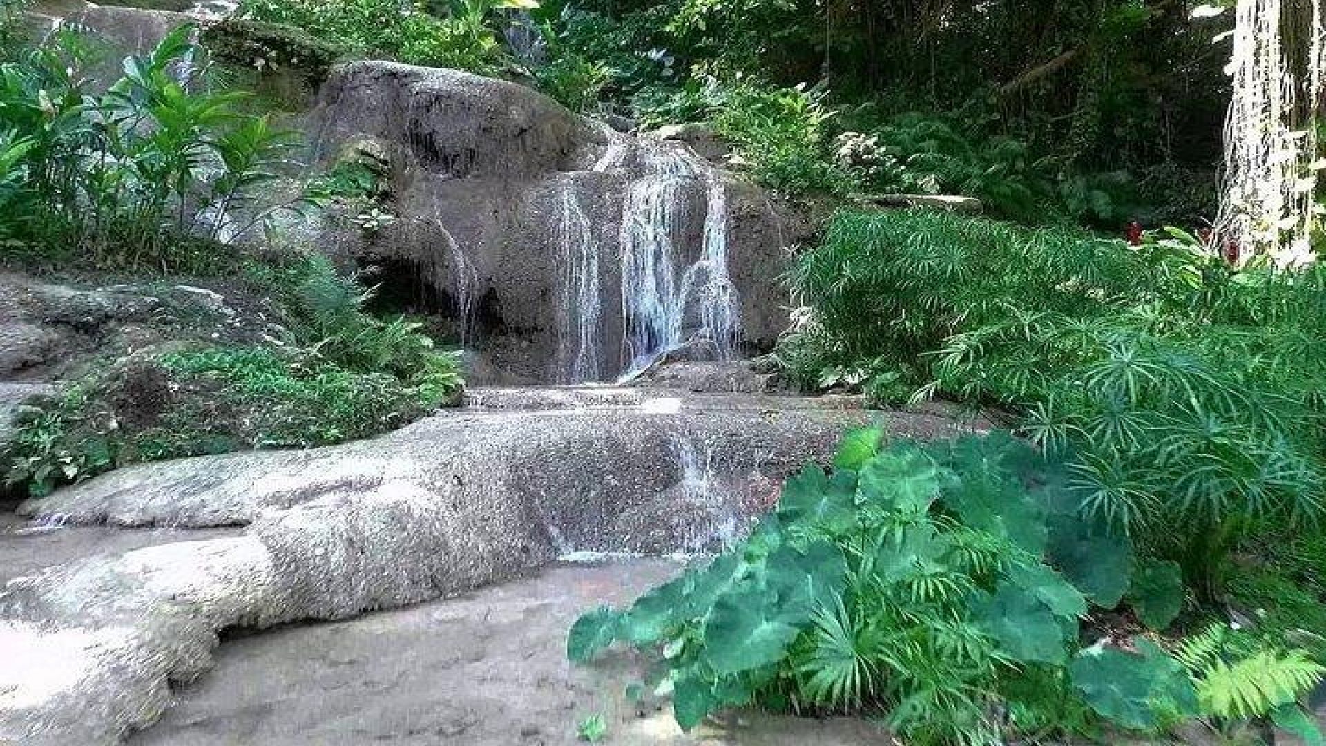 Konoko Falls and Garden Tour from Montego Bay
