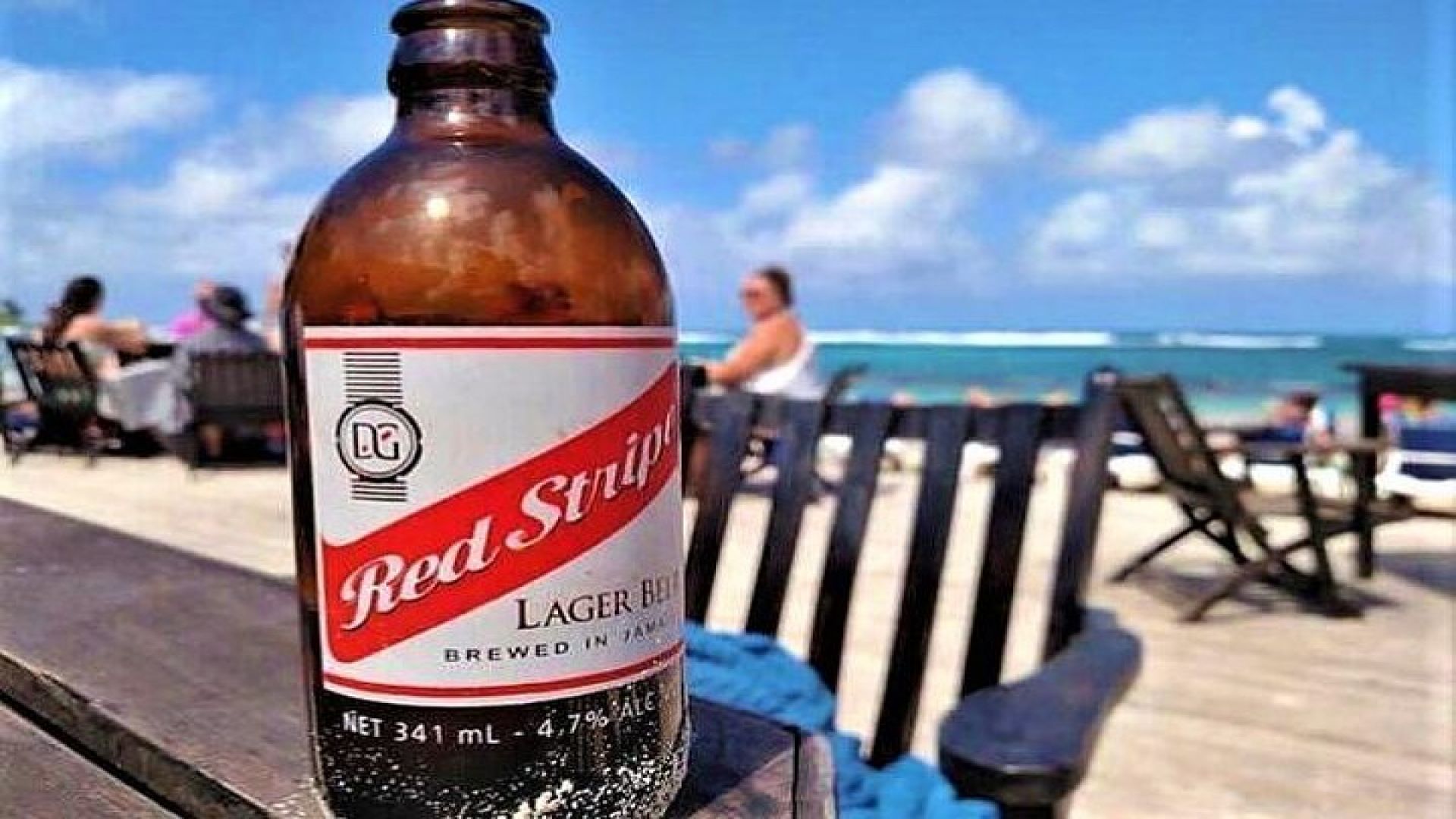 Irie Blue Hole Adventure & Bamboo Blu Beach Club Experience from Montego Bay