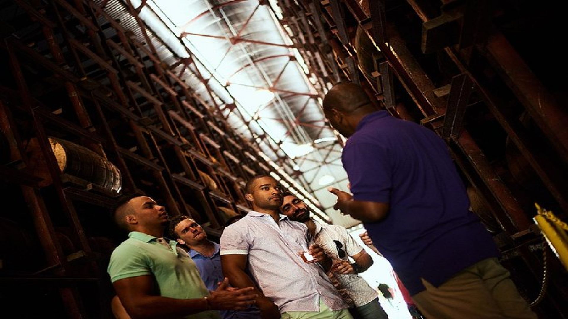 YS Falls and Appleton Rum Tour Adventure Tour from Montego Bay