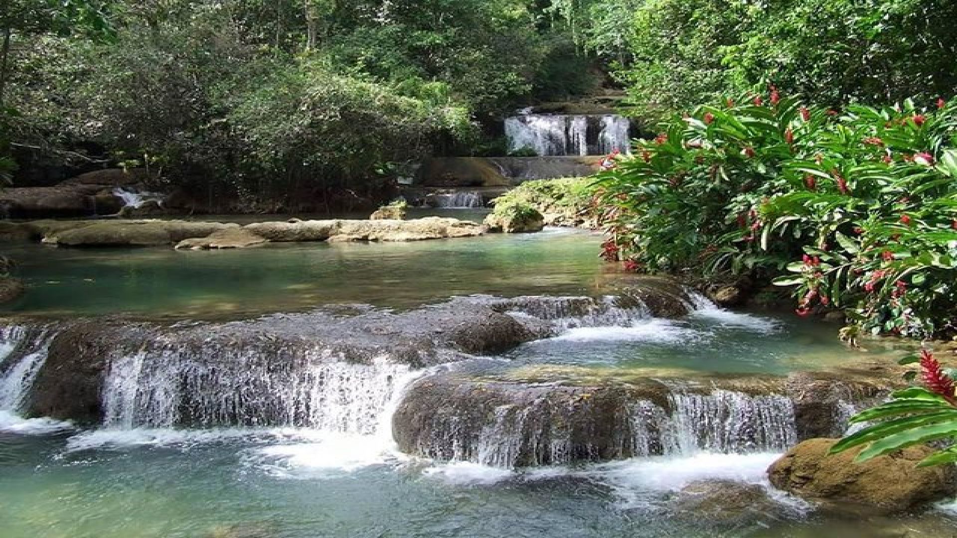 YS Falls and Appleton Rum Tour Adventure Tour from Montego Bay