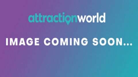 Gladiator Tour: the Colosseum for Kids & Families