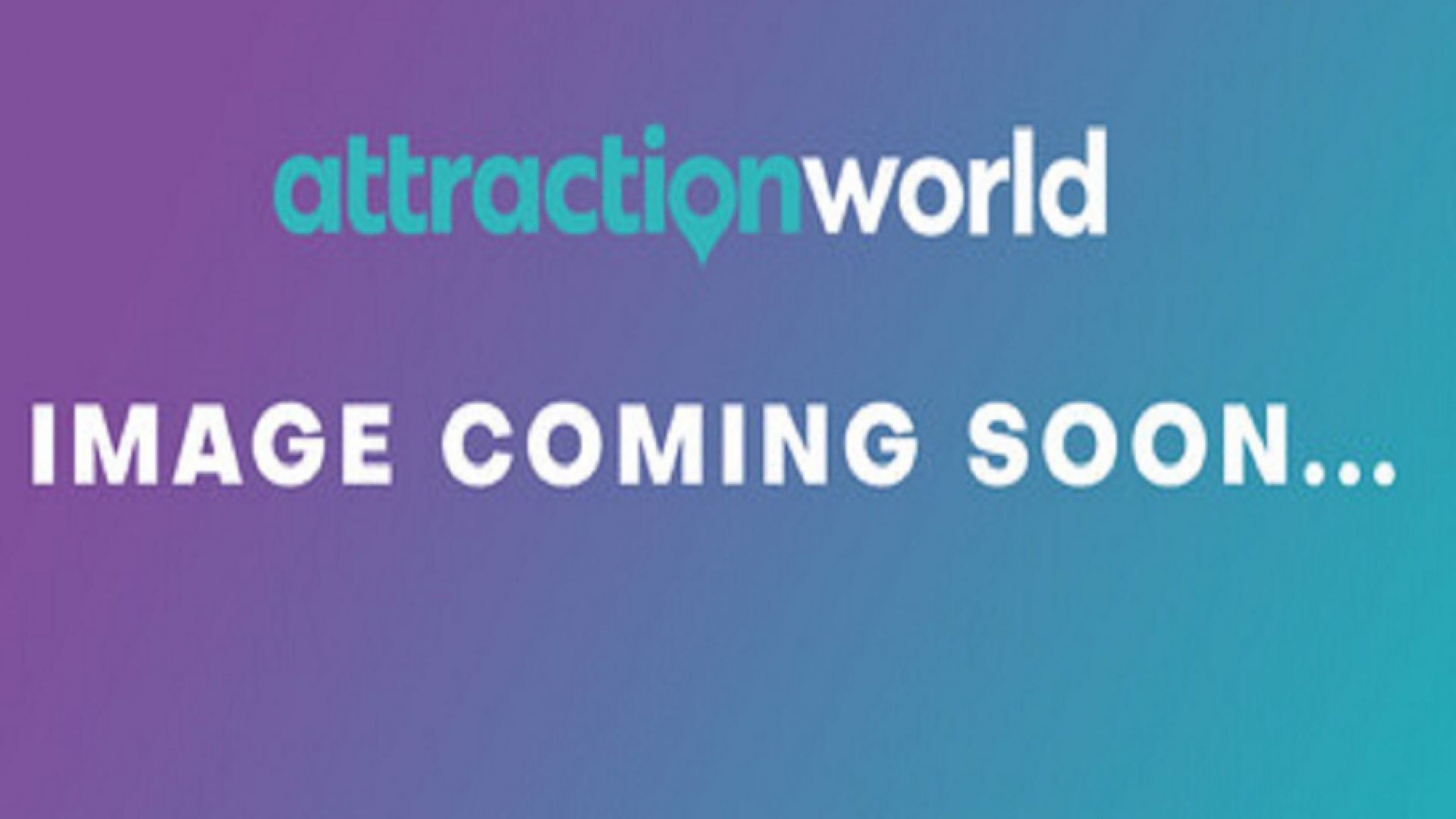 Morning: Colosseum, Roman Forum and Palatine Hill with Hotel pick-up