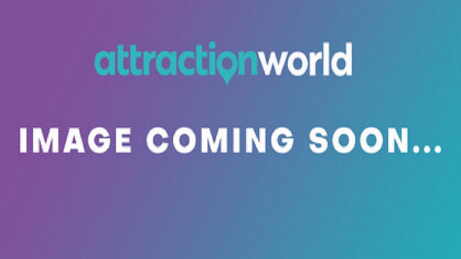 Gladiator Tour: the Colosseum for Kids & Families