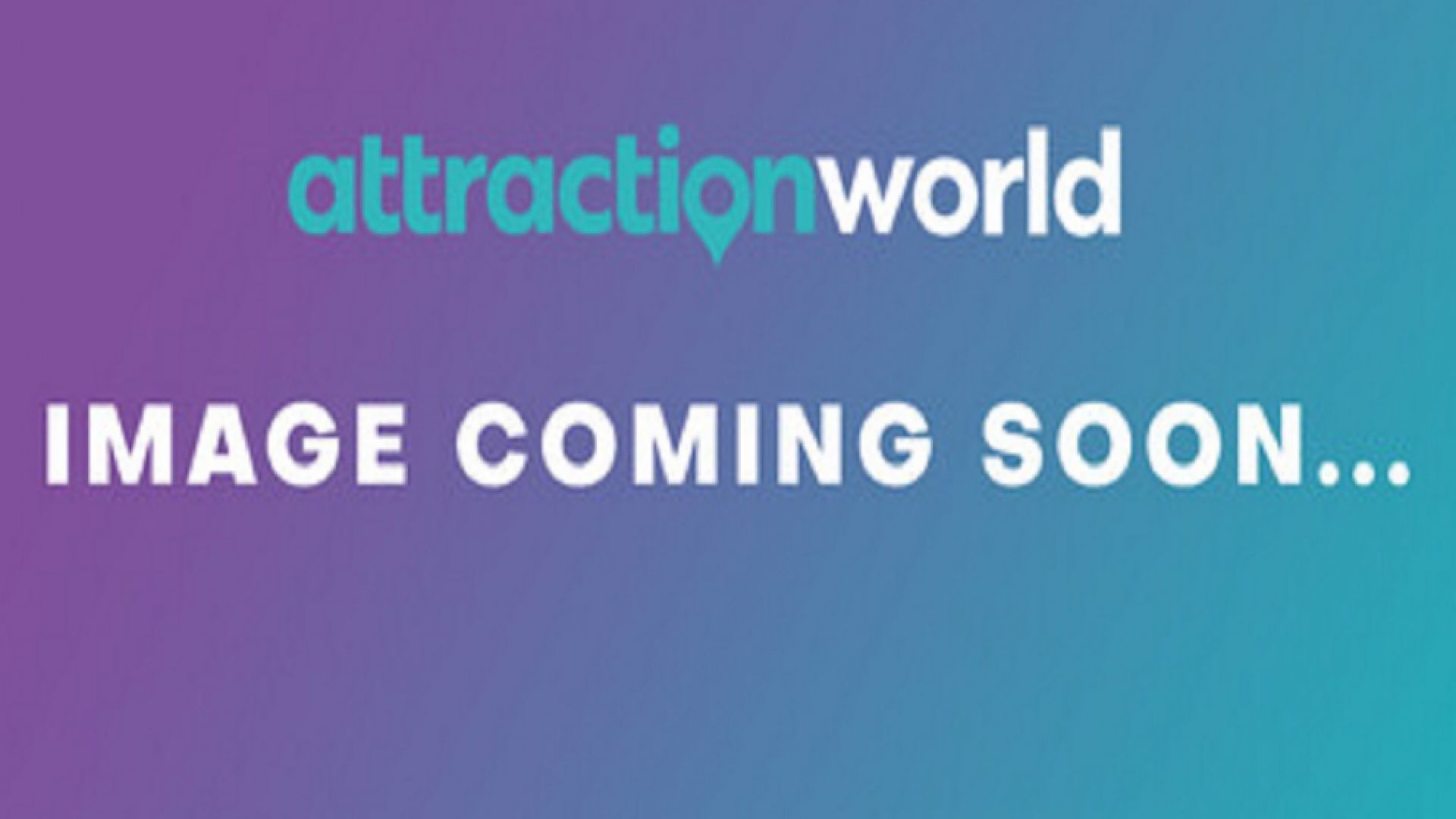 Vatican Museums Guided Tour Reserved Access