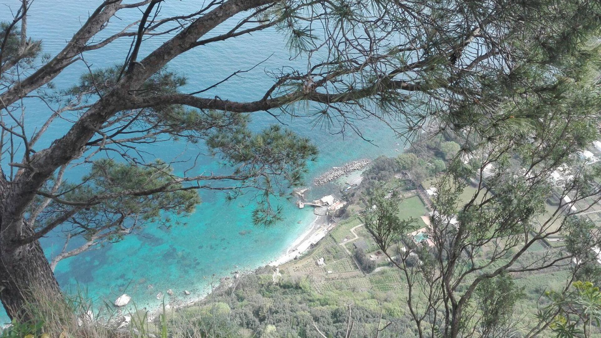 From Naples: Capri Island with Blue Grotto
