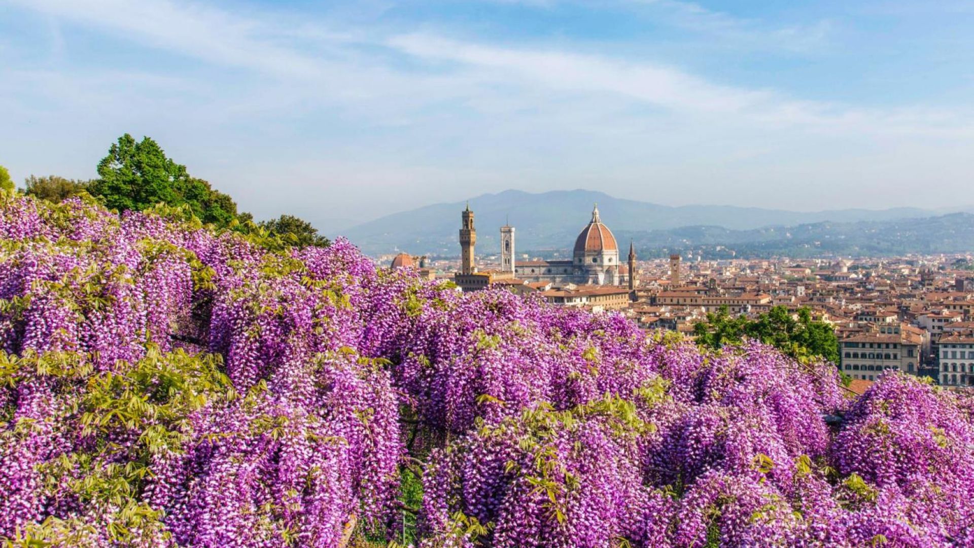 From Rome to Florence: Uffizi Gallery Semi-Private Tour by High-Speed Train - with meeting point