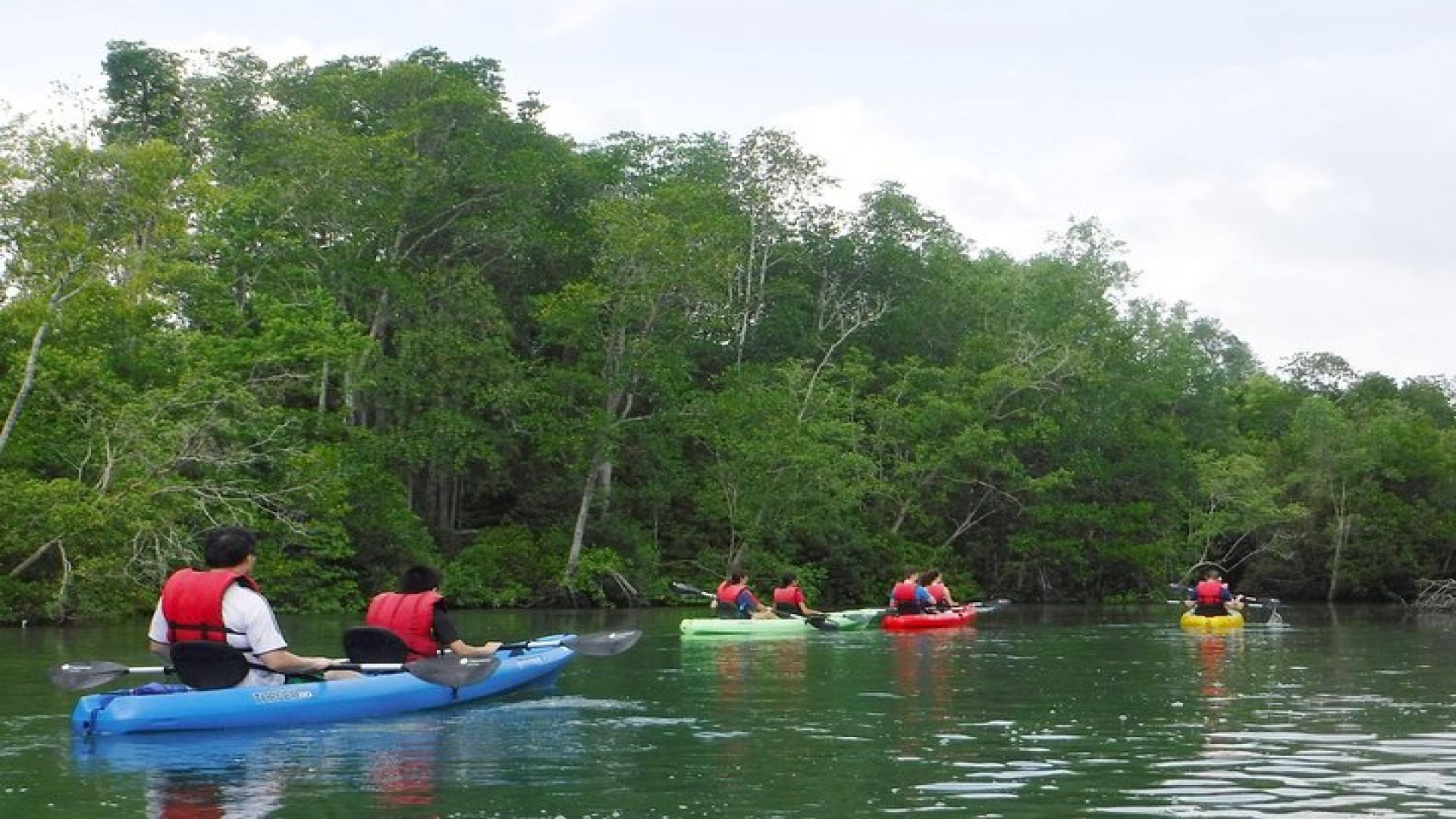 Mangrove Kayaking Adventure in Singapore