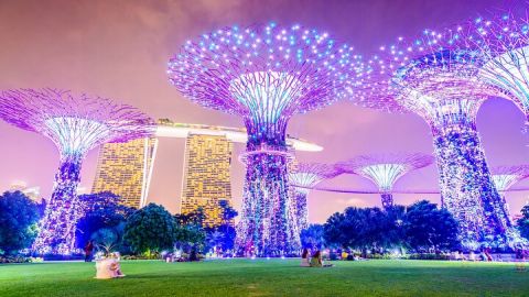 Singapore River Cruise, Night Garden Rhapsody & Spectra Tour