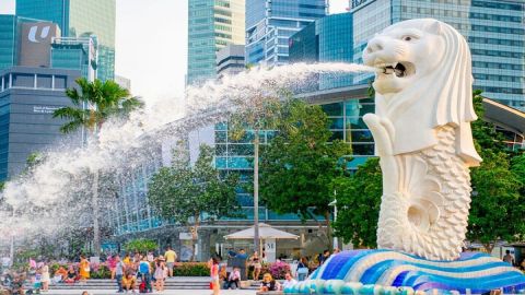 Singapore City Tour and Temples with Garden by the Bay Ticket