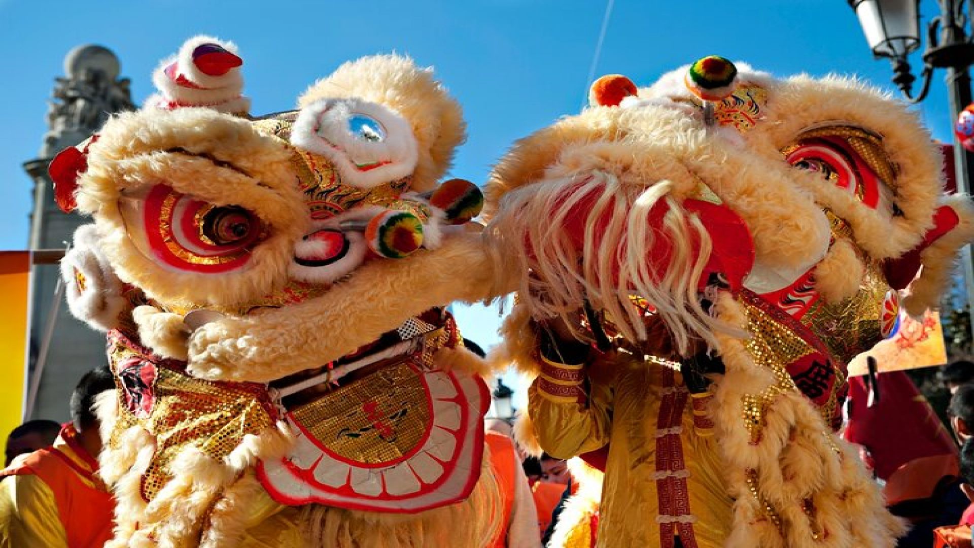 Private Singapore Chinatown, Little India and Temples Guided Tour