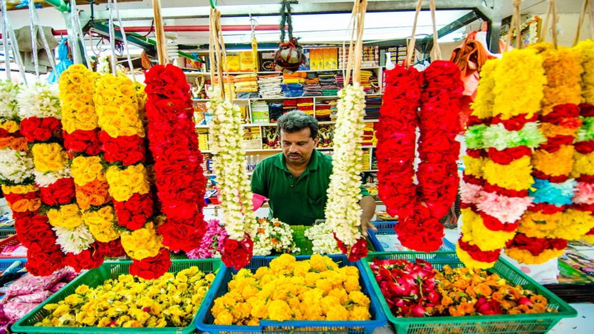 Private Singapore Chinatown, Little India and Temples Guided Tour