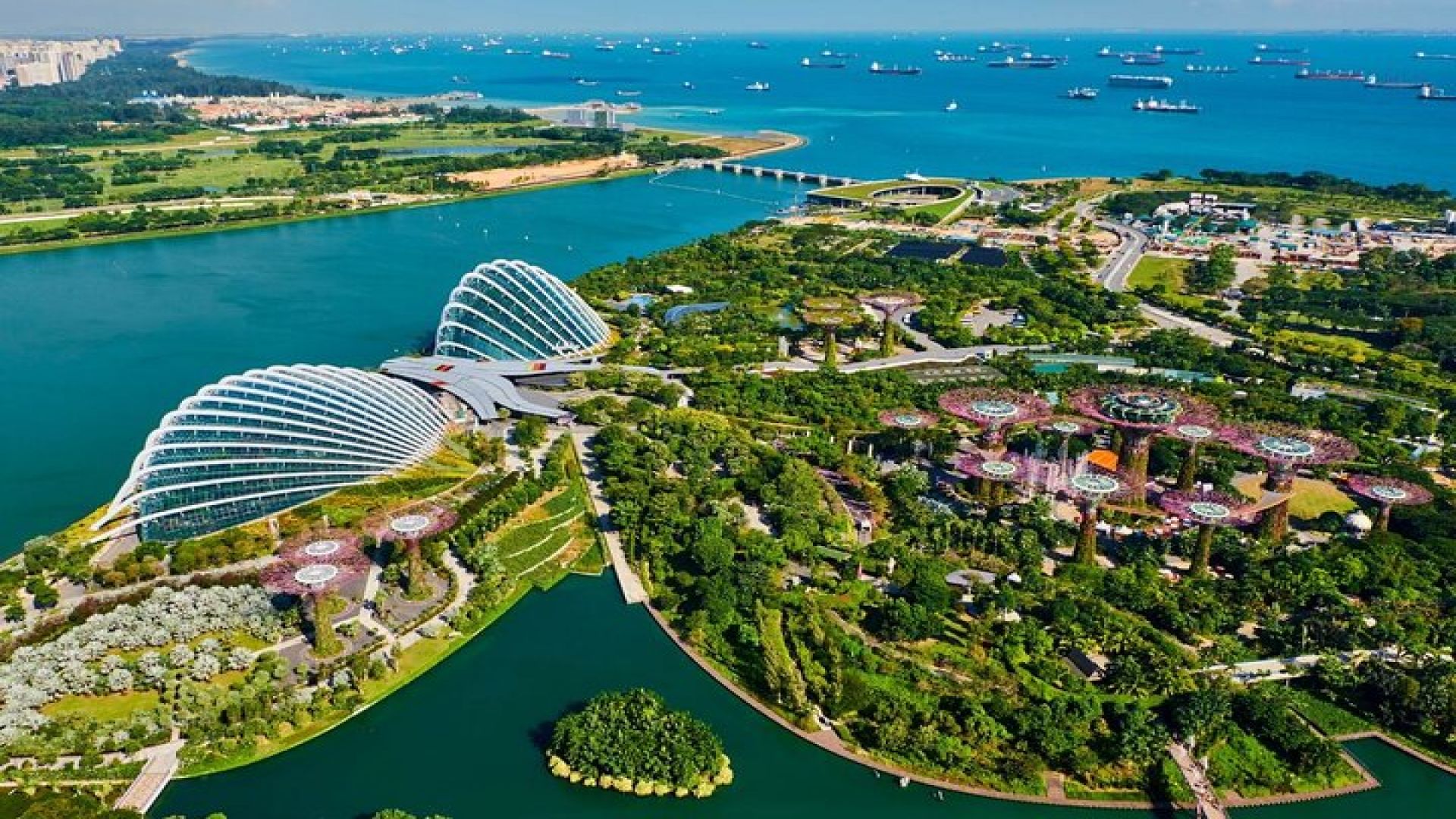 Singapore City Tour and Temples with Garden by the Bay Ticket
