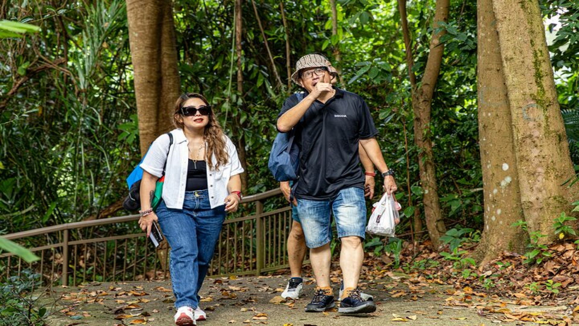 Singapore Mount Faber, Henderson Waves Scenic Walking Guided Tour