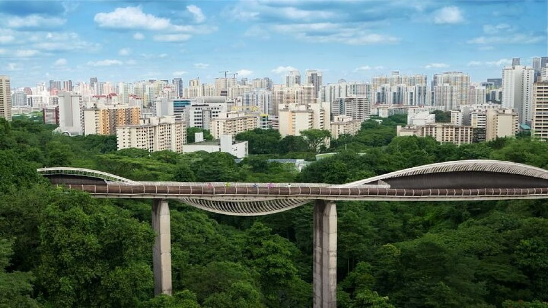 Singapore Mount Faber, Henderson Waves Scenic Walking Guided Tour