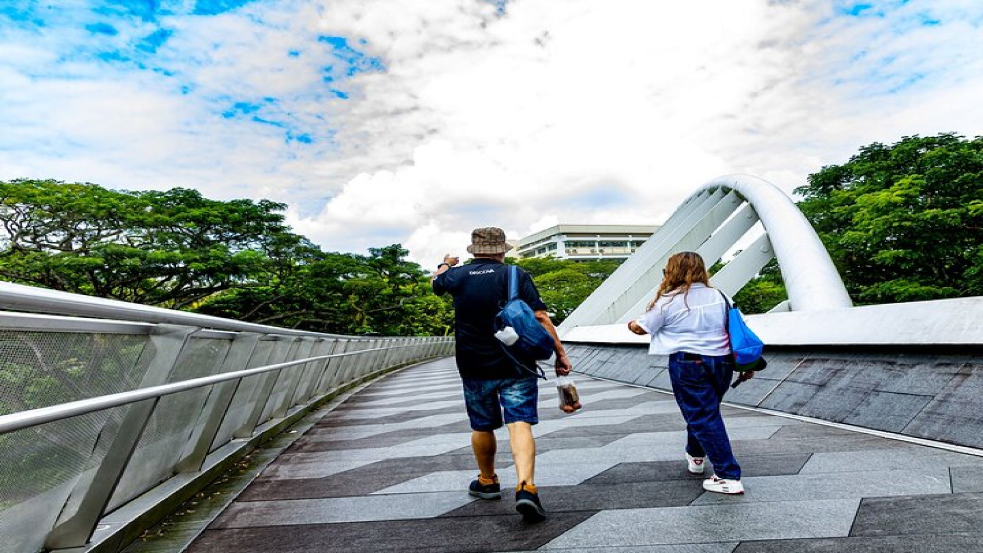Singapore Mount Faber, Henderson Waves Scenic Walking Guided Tour