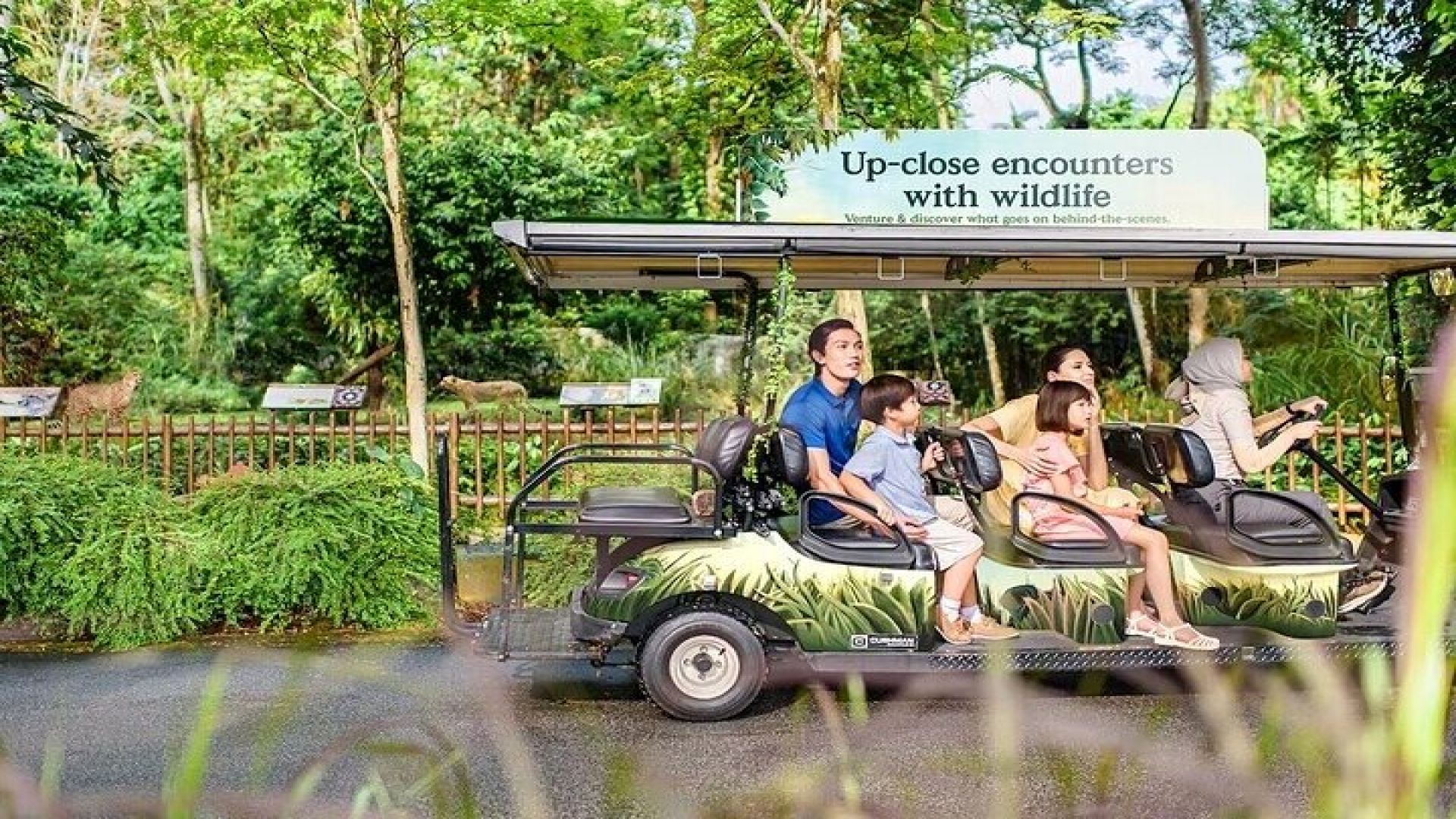 Singapore Zoo Tickets with Tram Ride