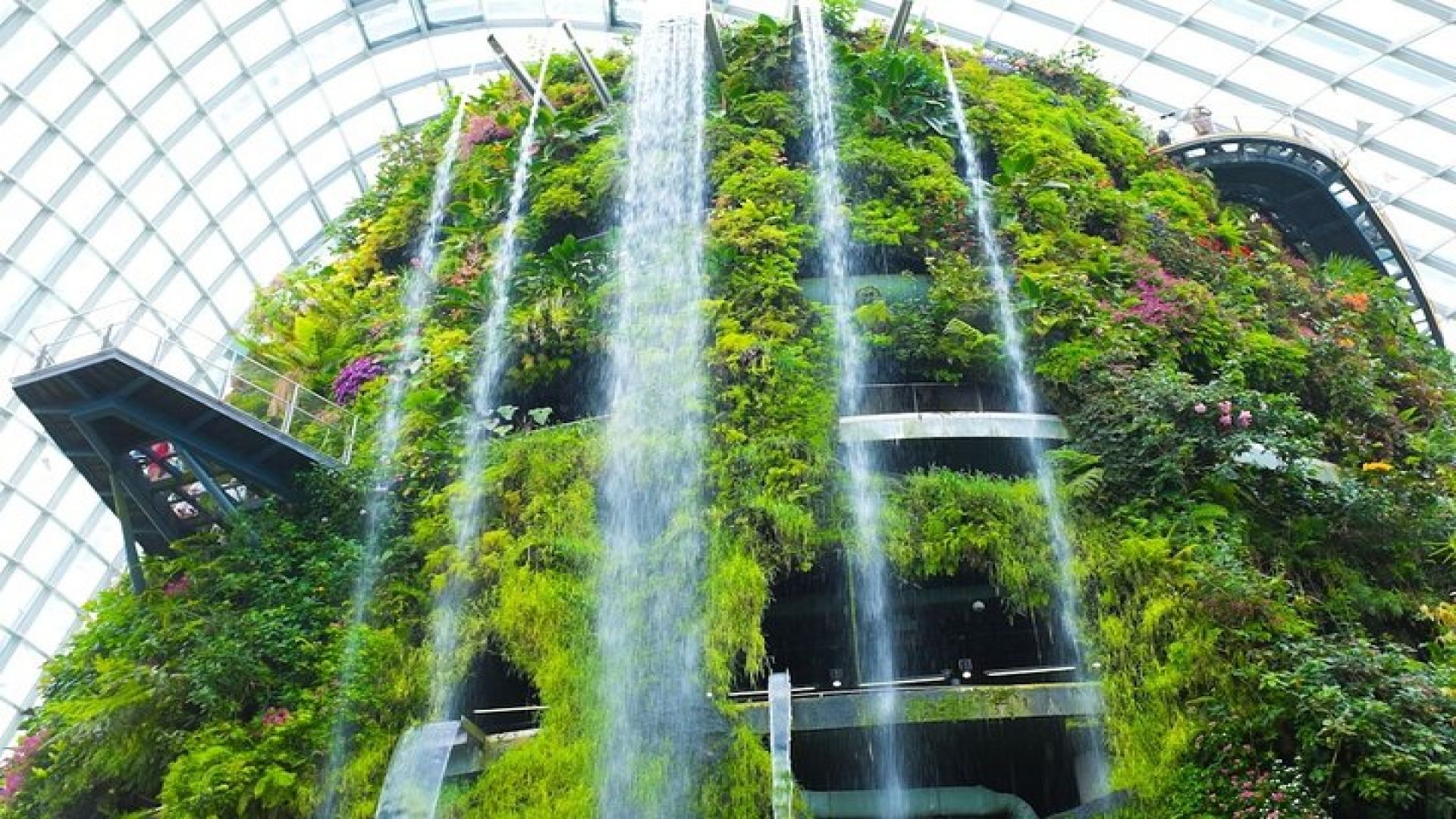 Bay Cloud Forest Gardens, Flower Dome, Jurassic World Experience