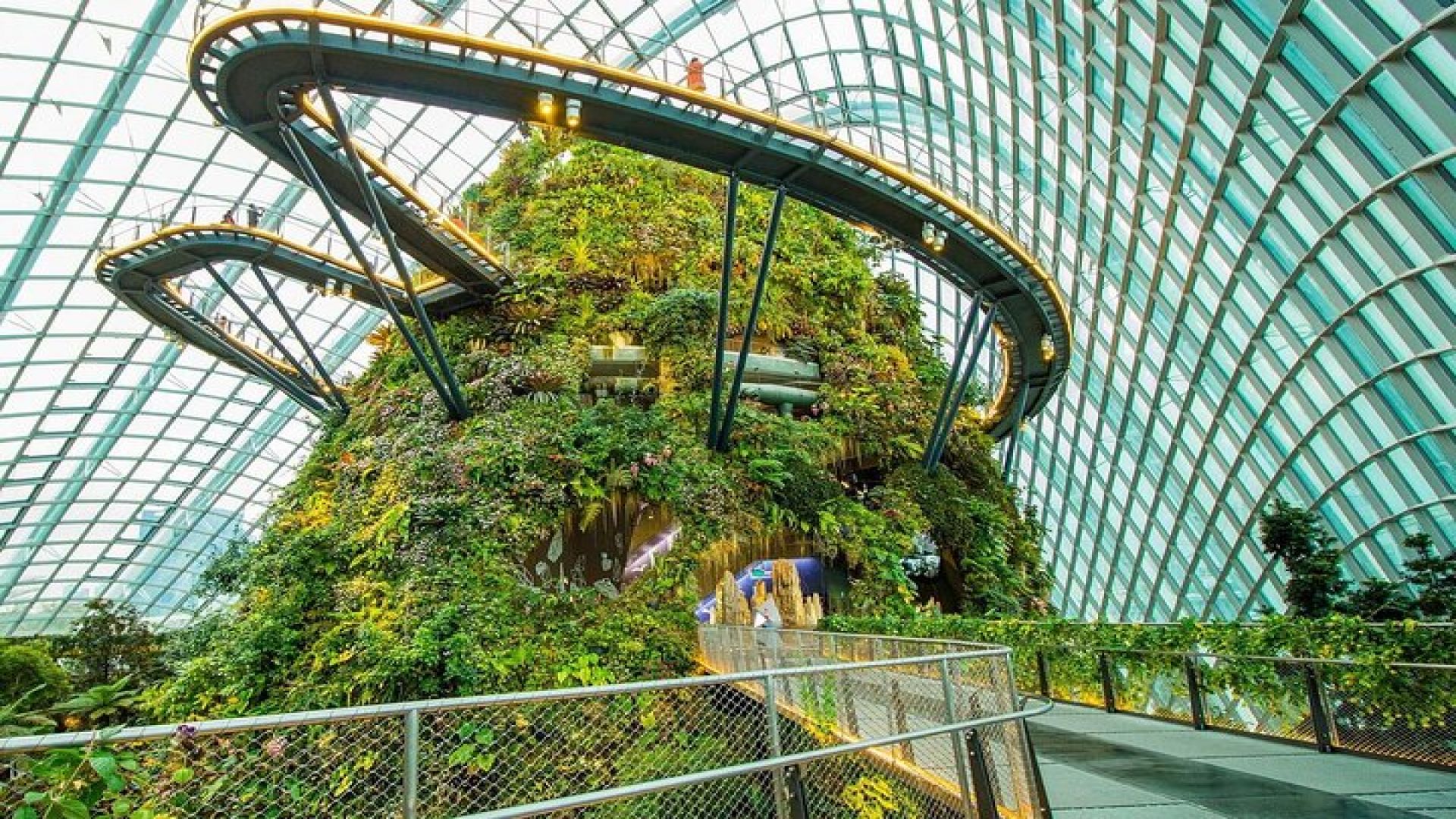 Bay Cloud Forest Gardens, Flower Dome, Jurassic World Experience