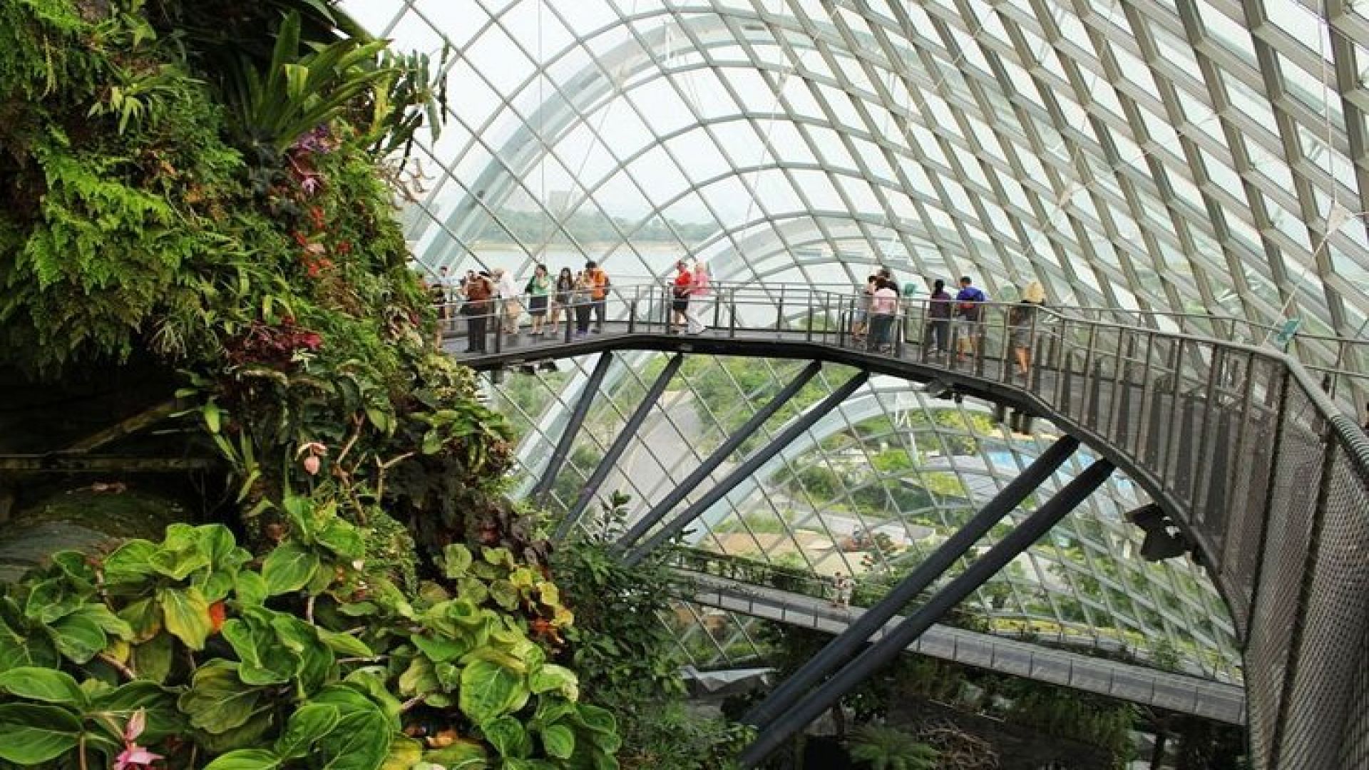 Bay Cloud Forest Gardens, Flower Dome, Jurassic World Experience