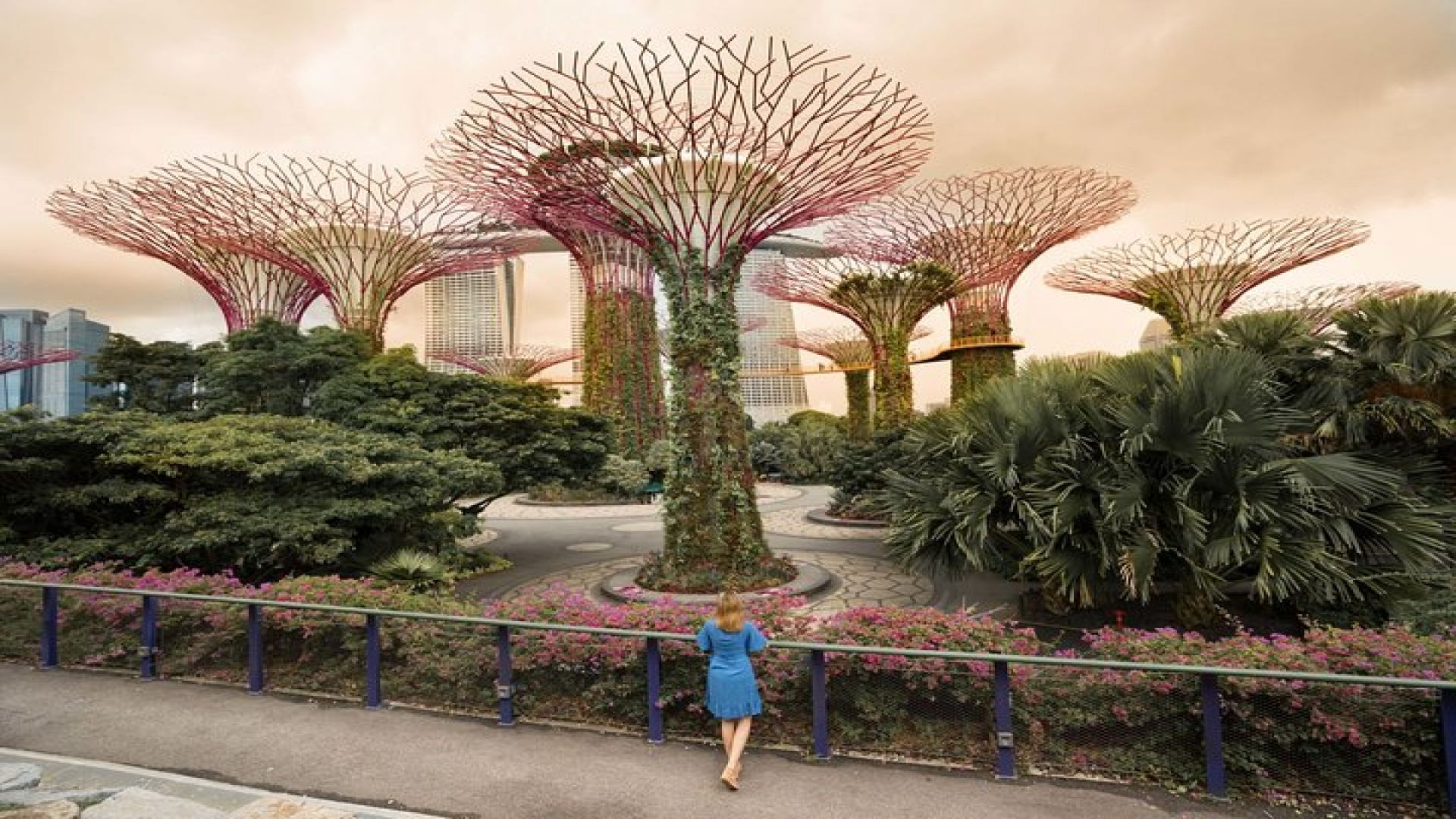Singapore Instagram Private Walking Tour (Private & All-Inclusive)