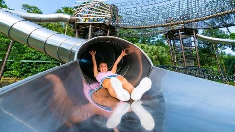 Sentosa: Nestopia Entry Ticket