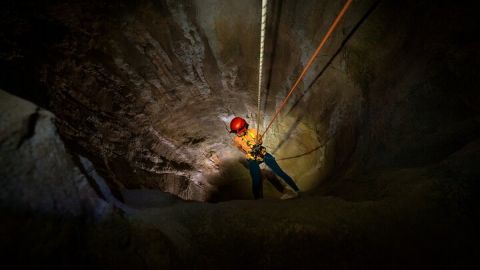 Singapore 3 Park Explorer Pass: Zoo, River Wonders, Bird Paradise